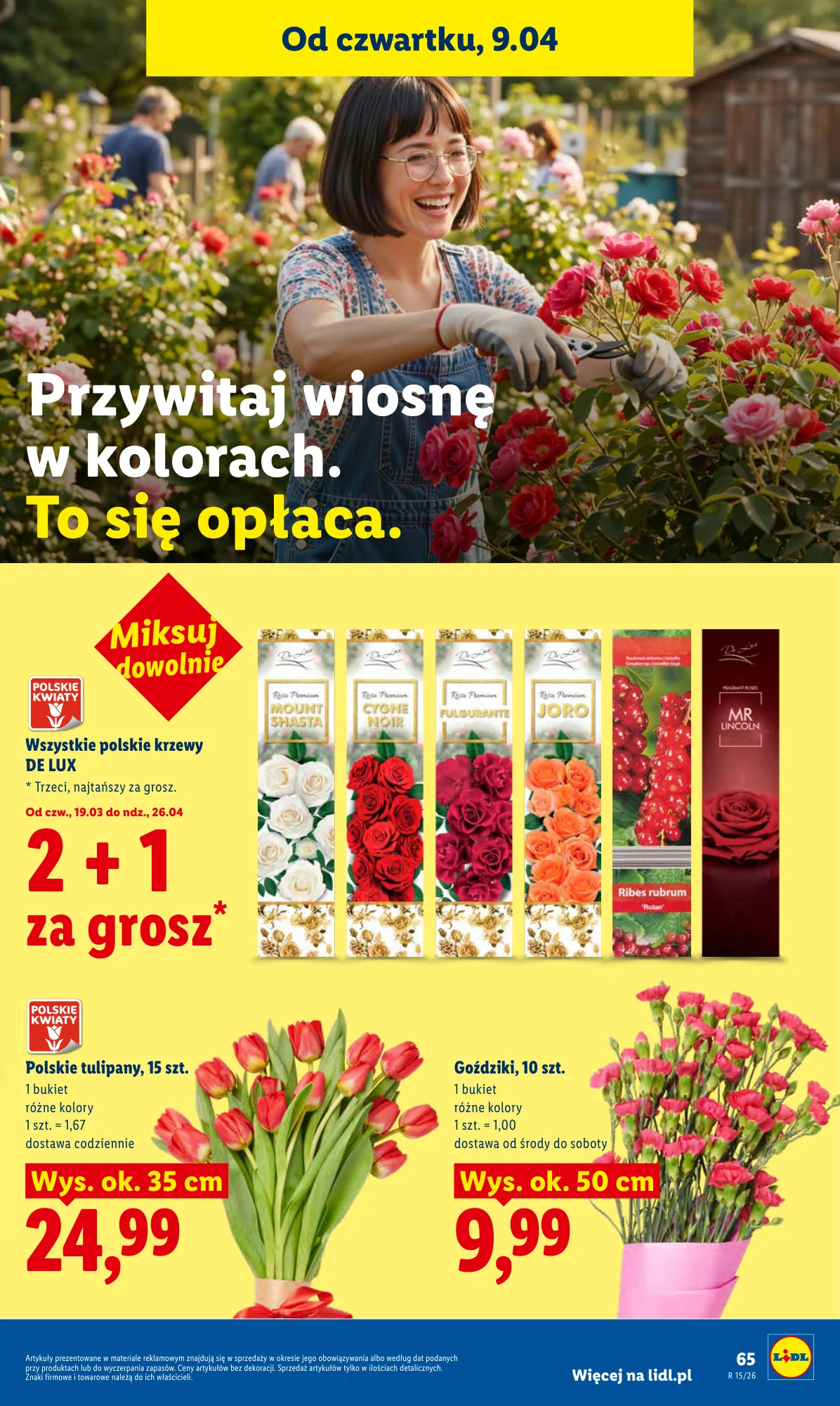 Gazetka promocyjna Lidl str. 65