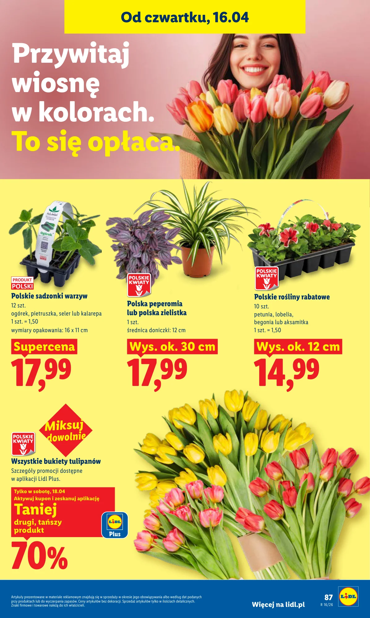 Gazetka promocyjna Lidl str. 87