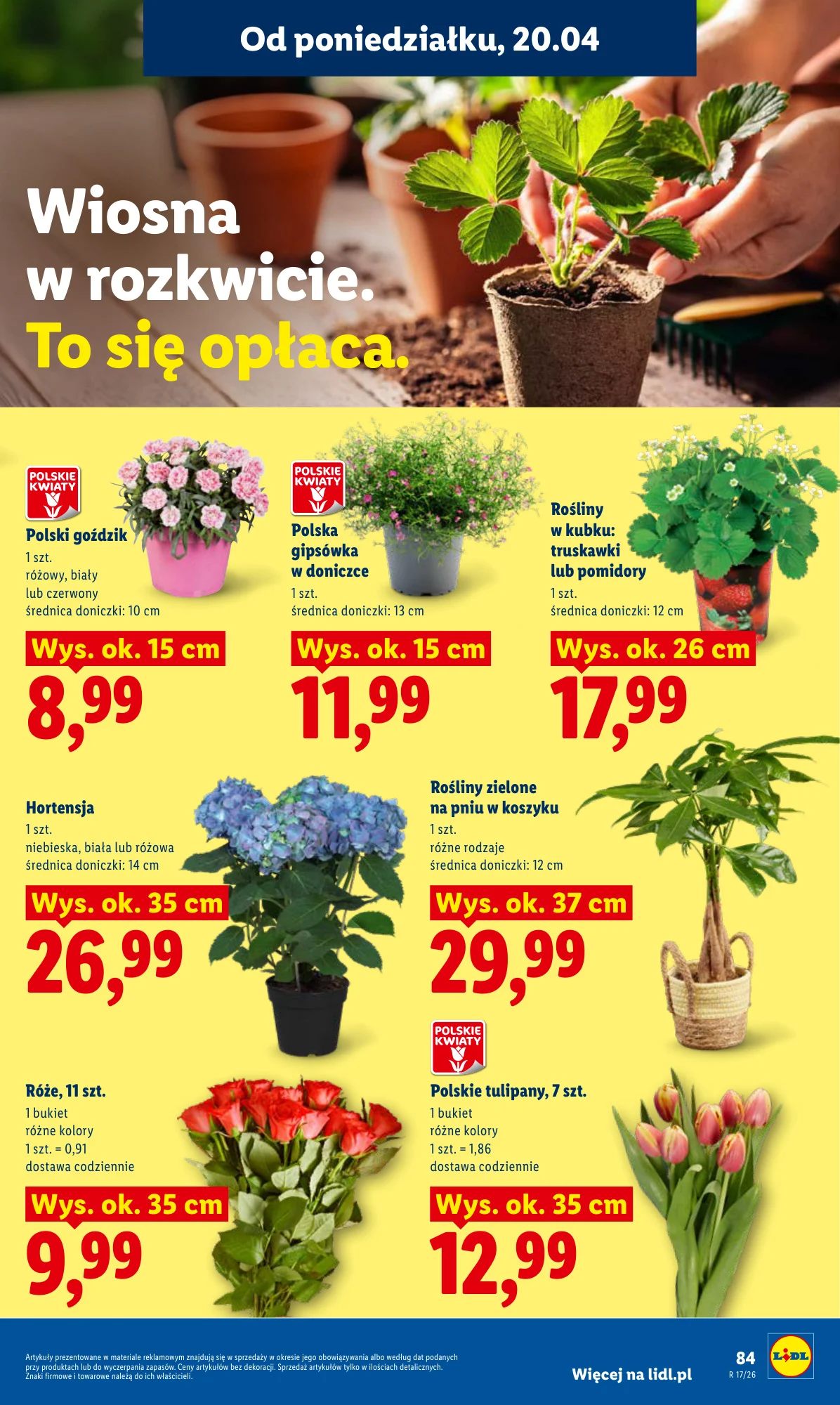 Gazetka promocyjna Lidl str. 87