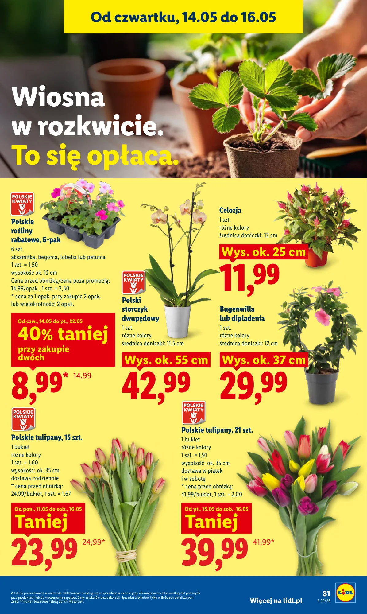 Gazetka promocyjna Lidl str. 87