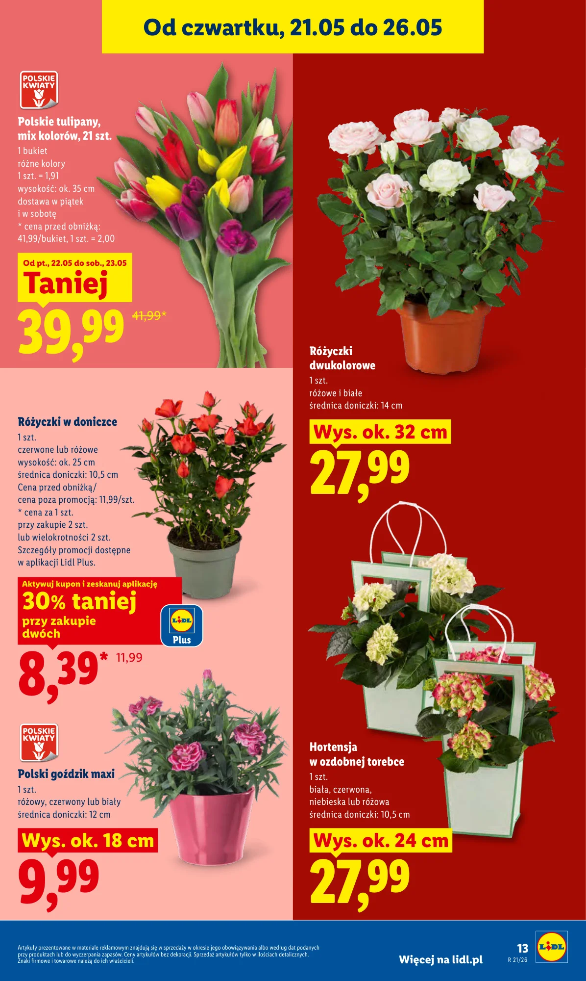 Gazetka promocyjna Lidl str. 13