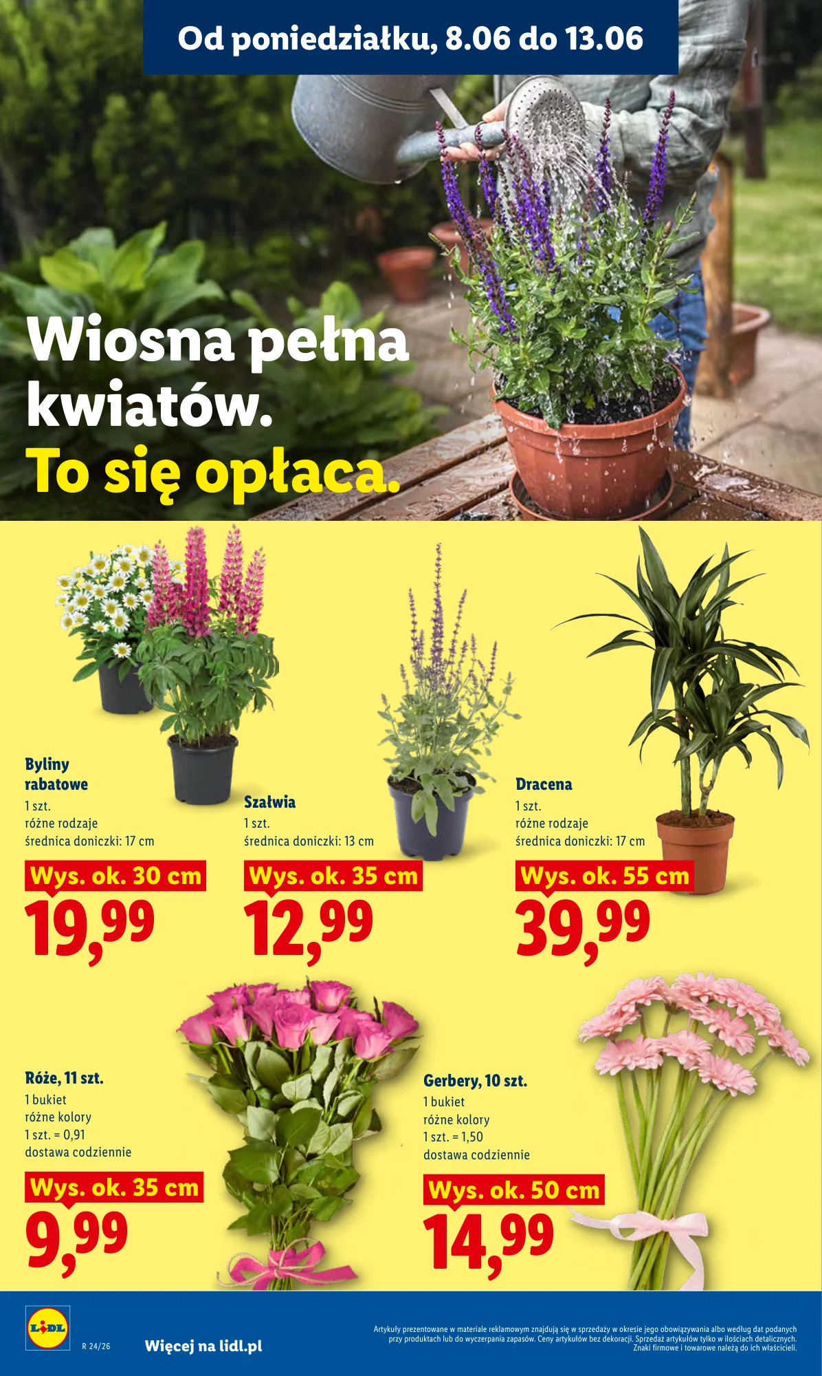 Gazetka promocyjna Lidl str. 82