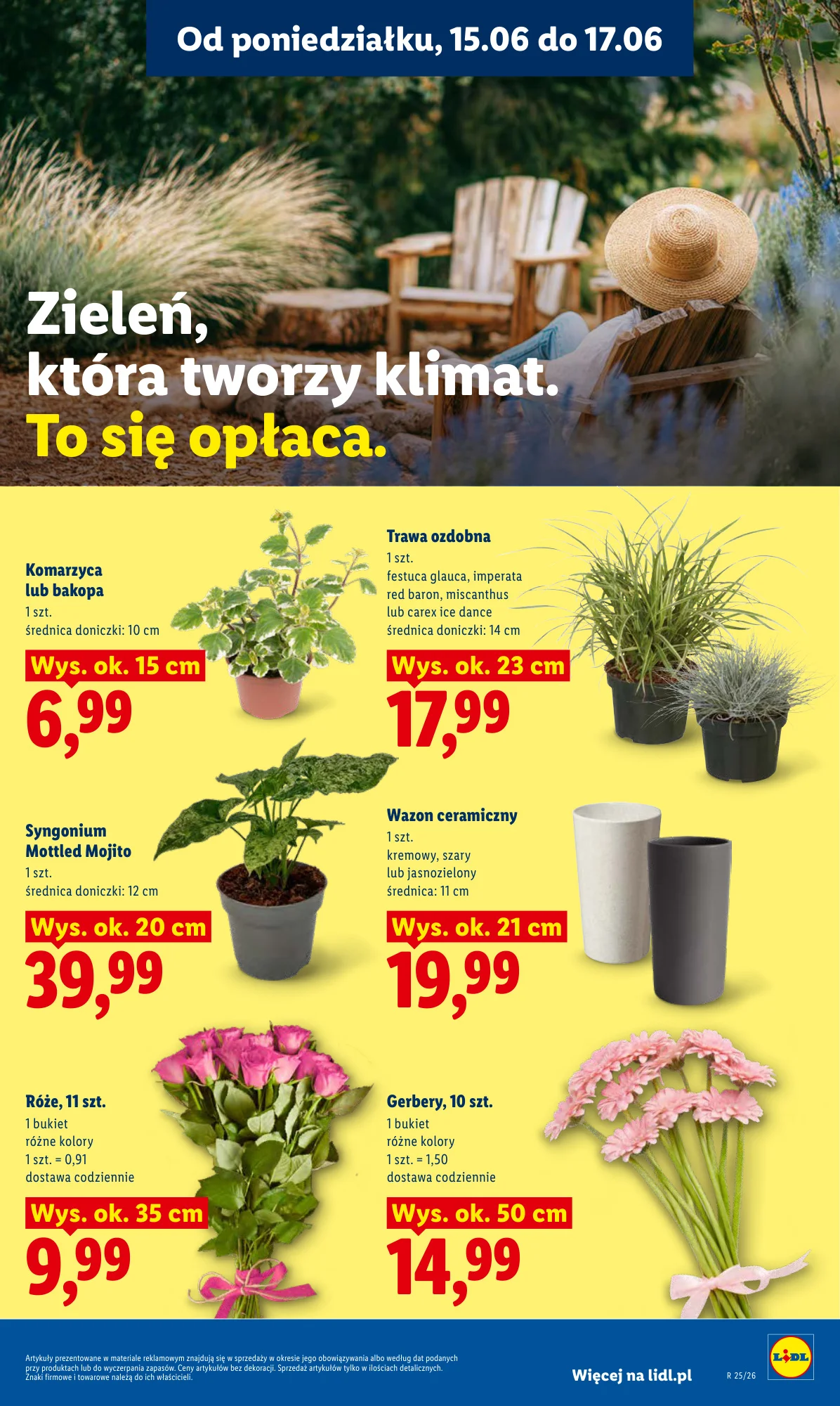 Gazetka promocyjna Lidl str. 97