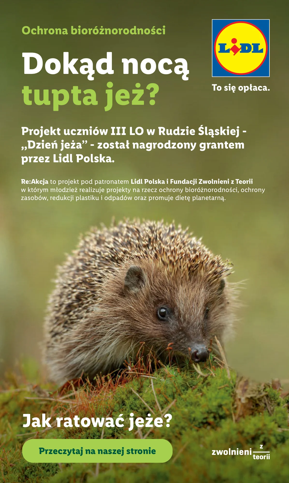 Gazetka promocyjna Lidl str. 58