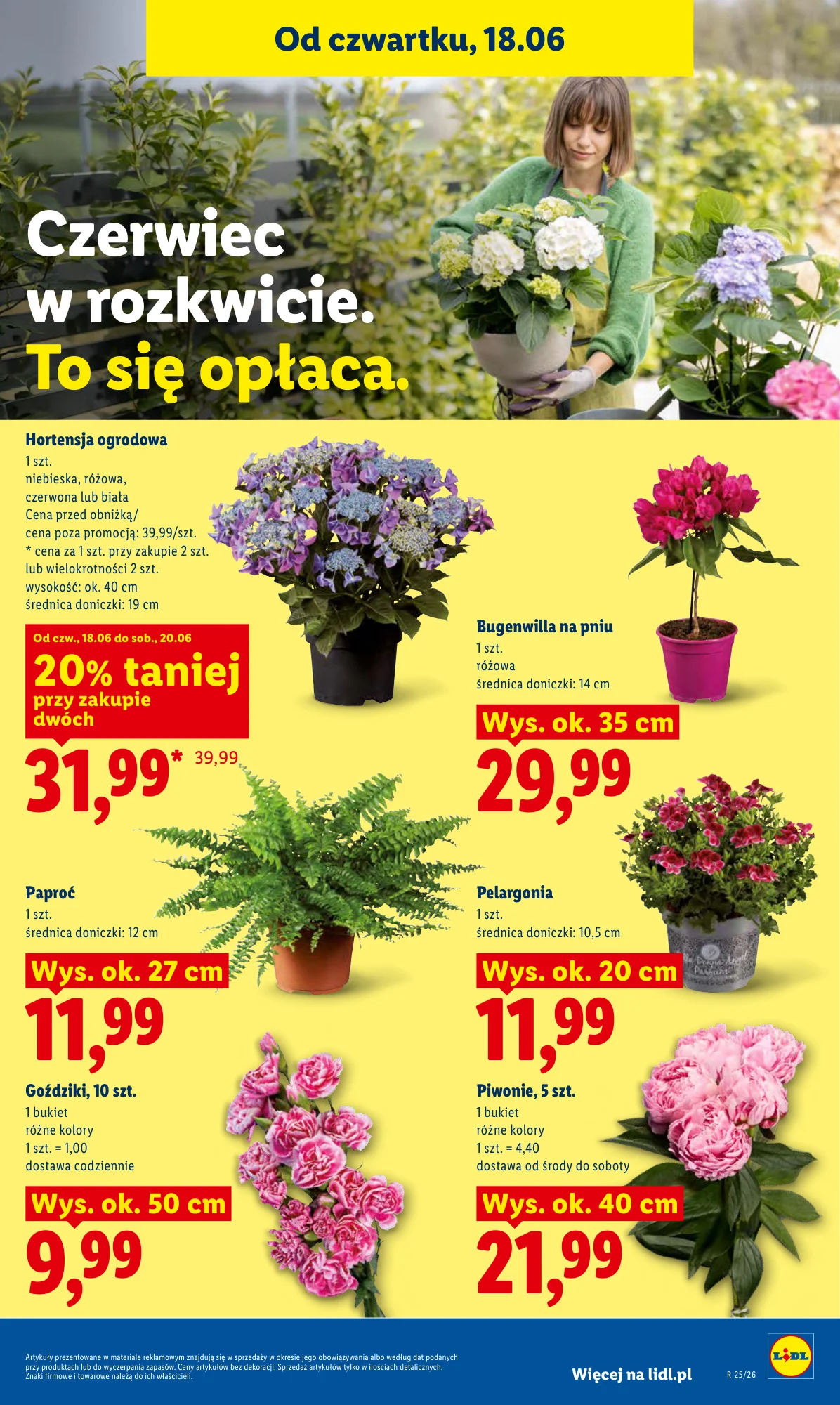 Gazetka promocyjna Lidl str. 79