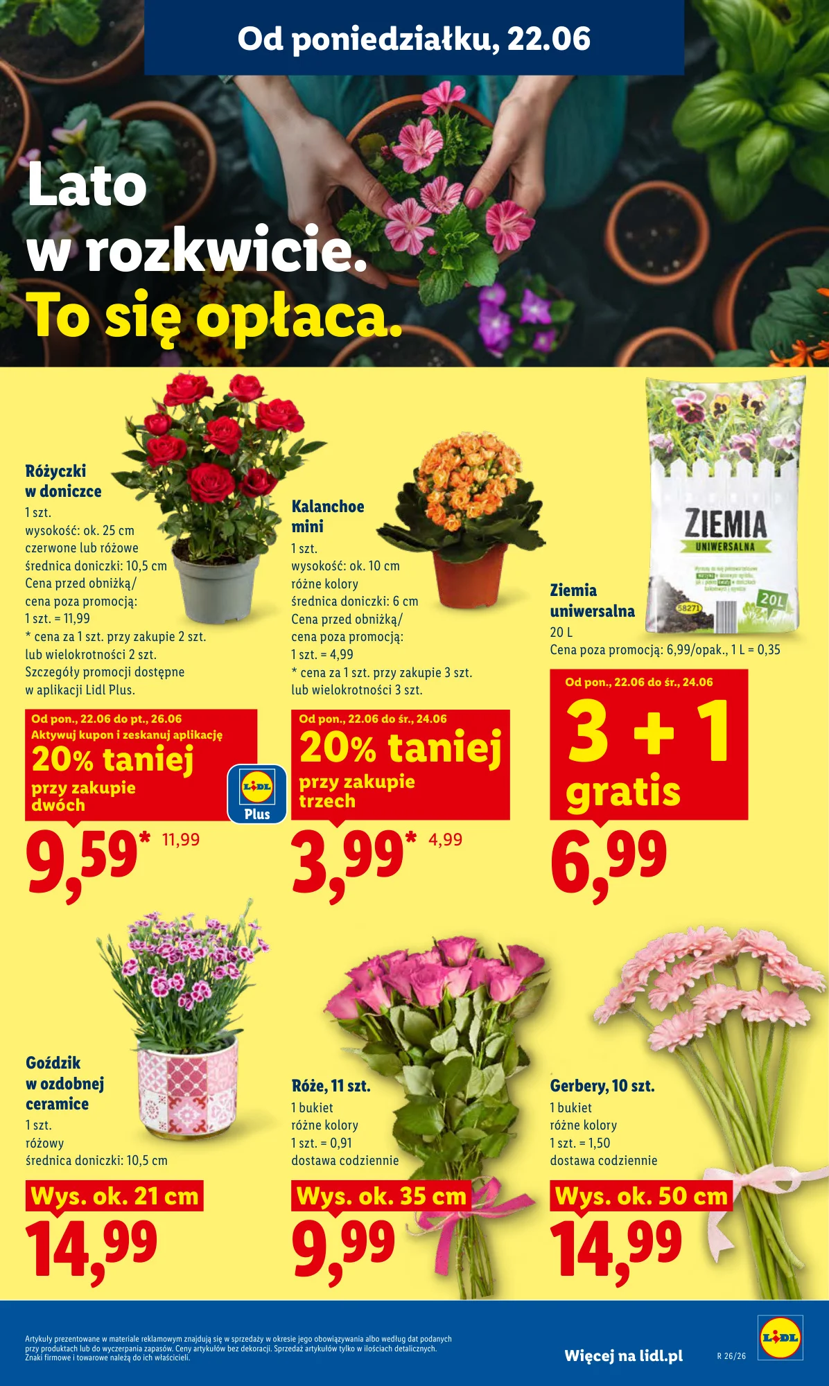 Gazetka promocyjna Lidl str. 87