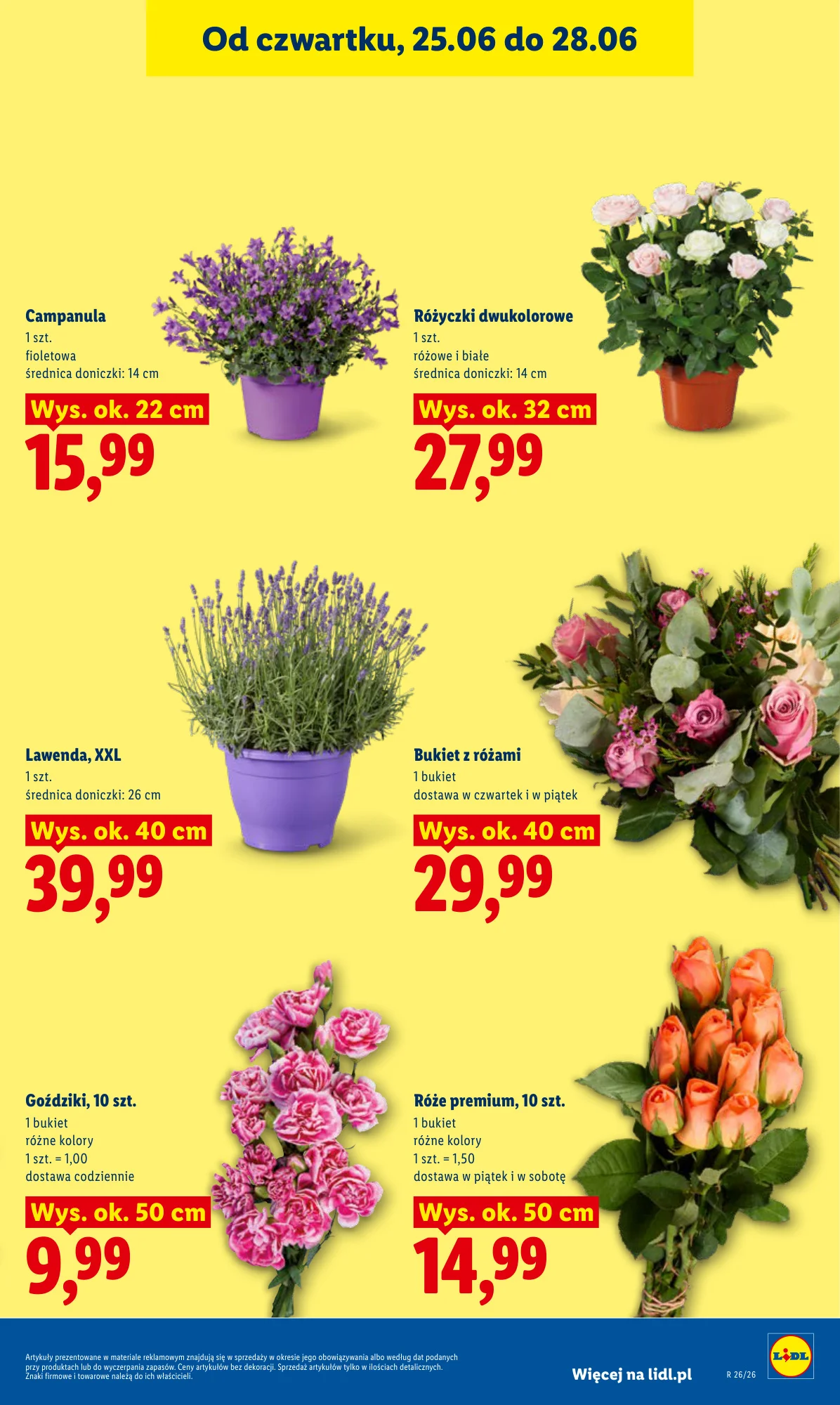 Gazetka promocyjna Lidl str. 41