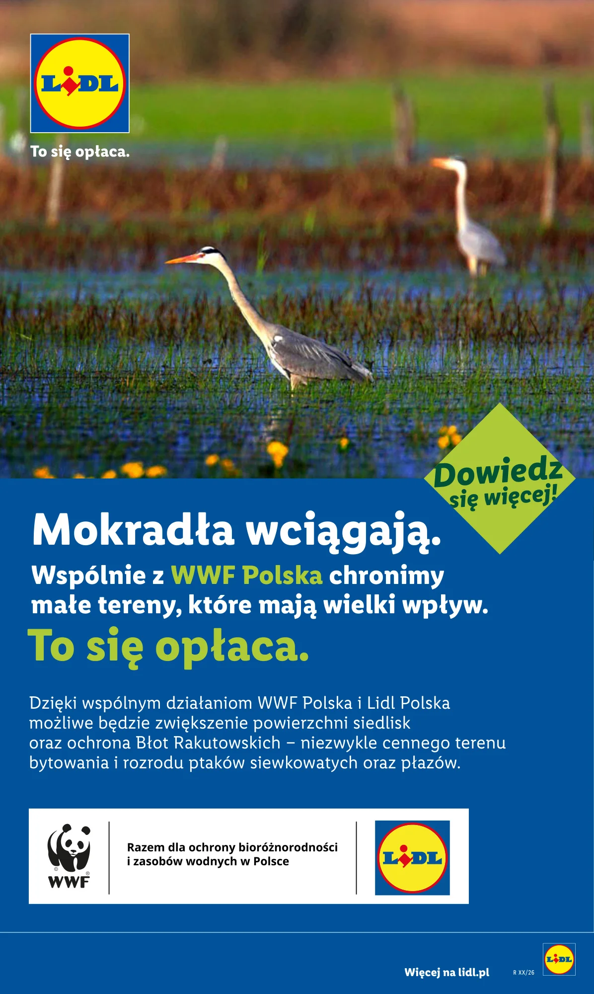 Gazetka promocyjna Lidl str. 84
