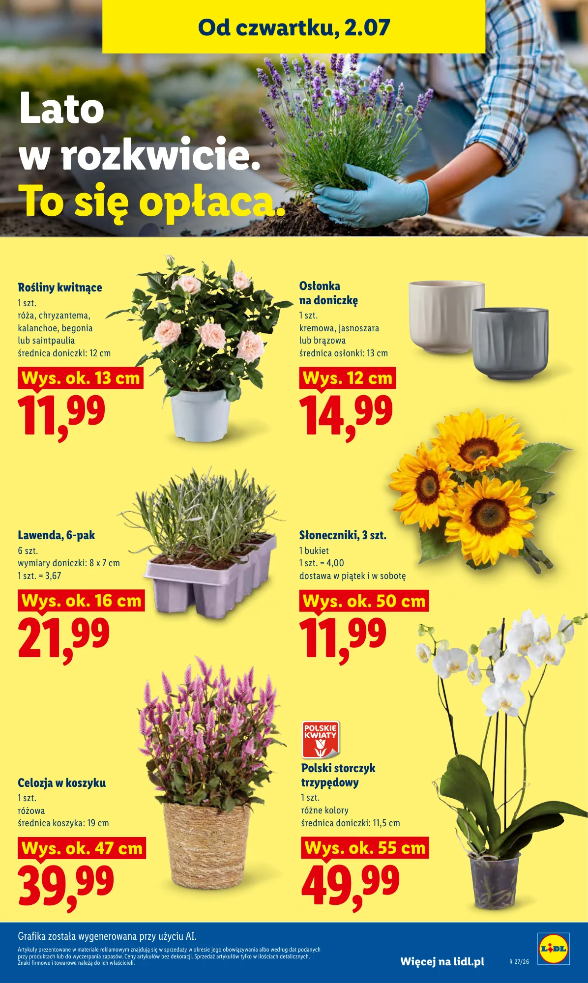 Gazetka promocyjna Lidl str. 81