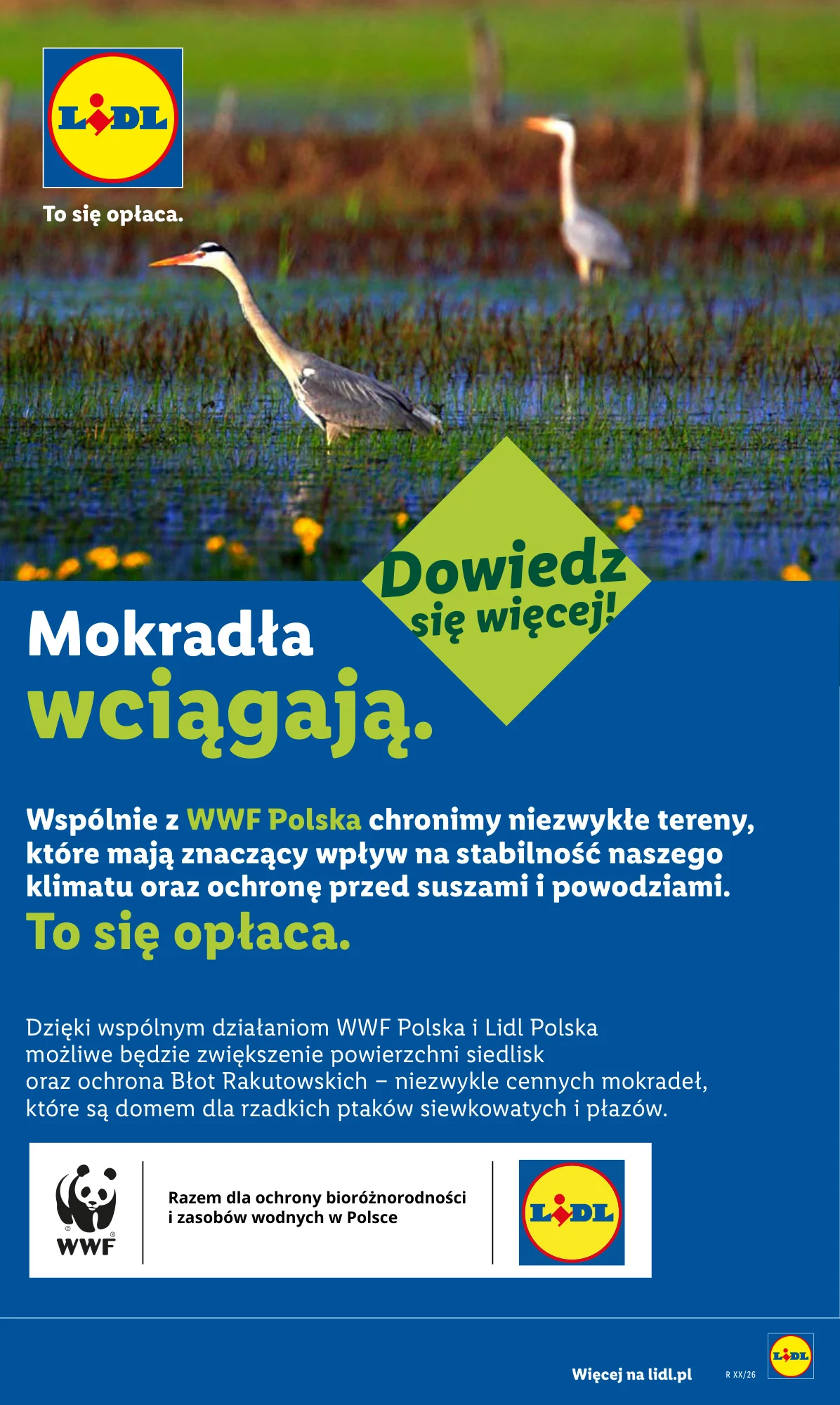 Gazetka promocyjna Lidl str. 89
