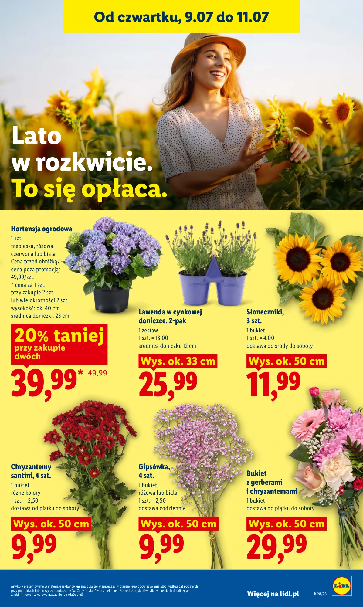 Gazetka promocyjna Lidl str. 85