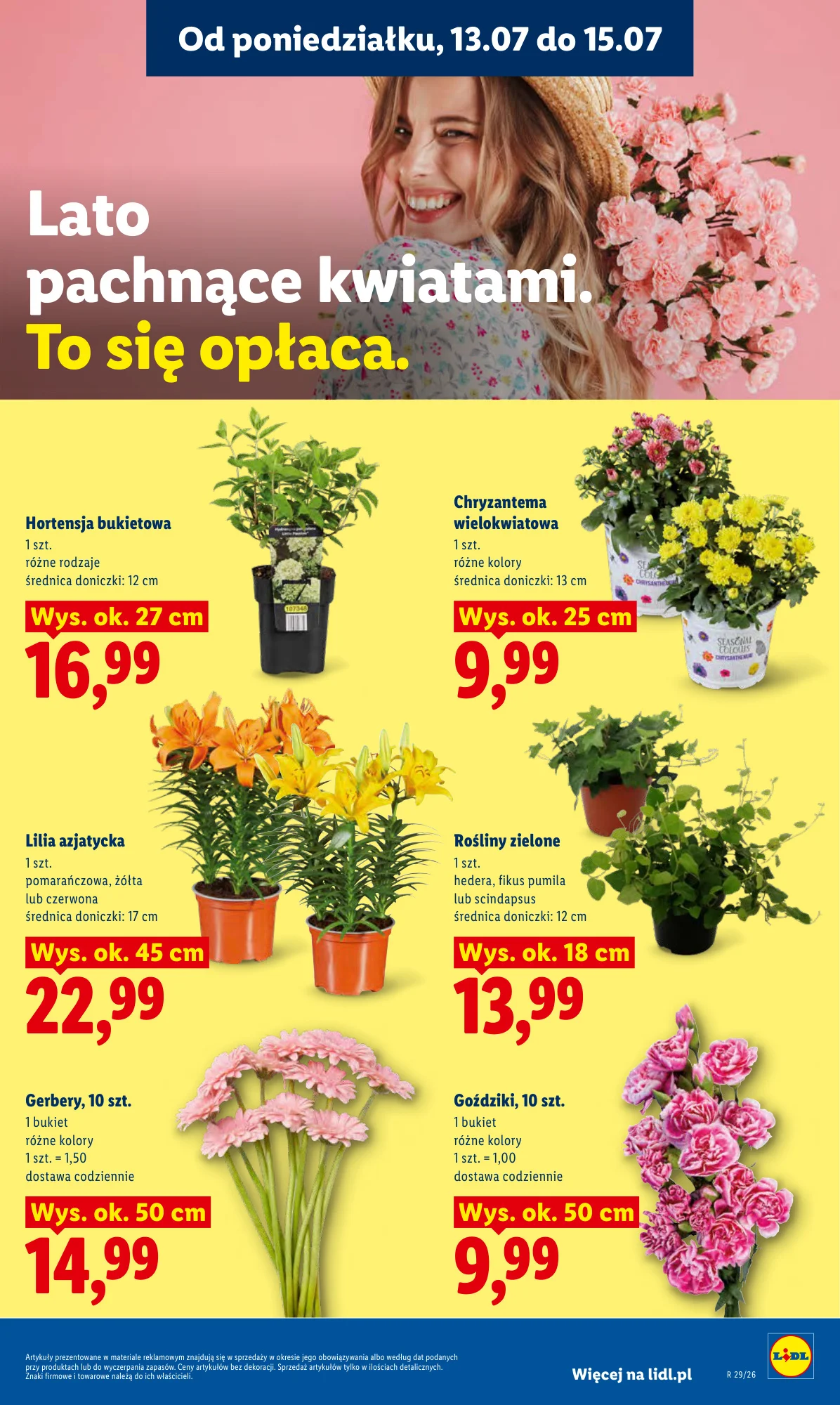 Gazetka promocyjna Lidl str. 87