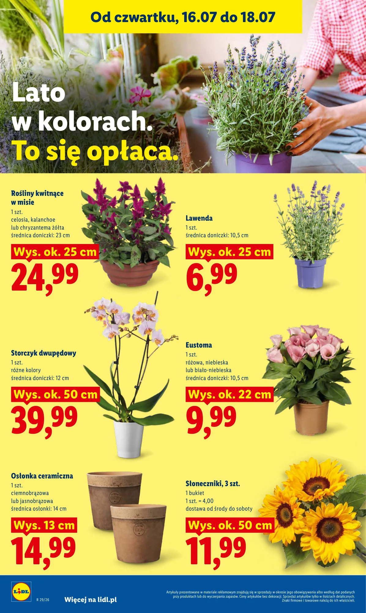 Gazetka promocyjna Lidl str. 94