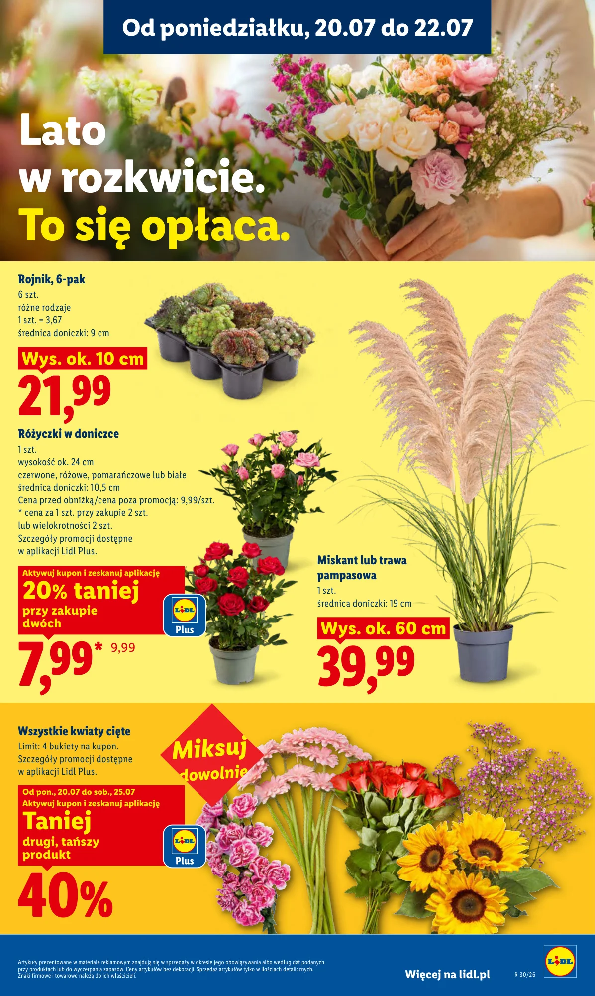 Gazetka promocyjna Lidl str. 99