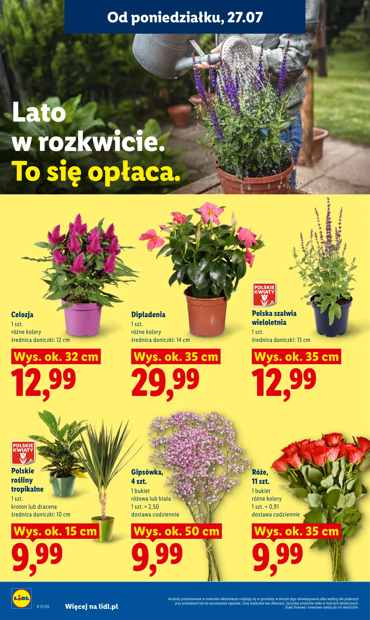 Gazetka promocyjna Lidl str. 92