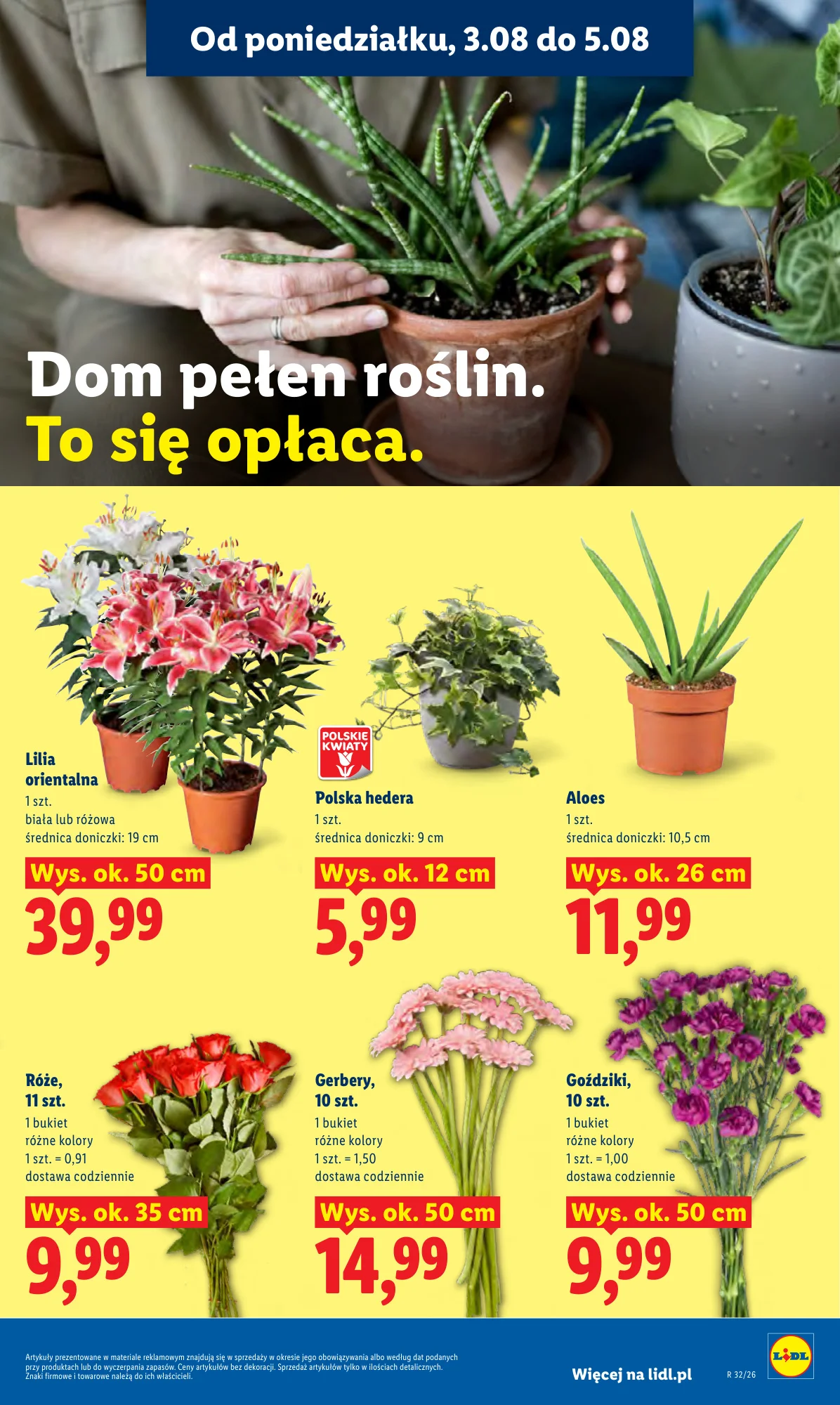 Gazetka promocyjna Lidl str. 91