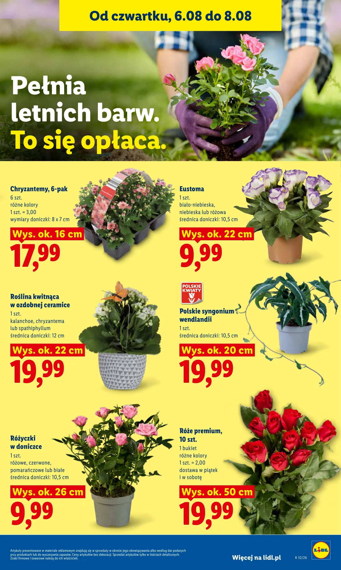 Gazetka promocyjna Lidl str. 87