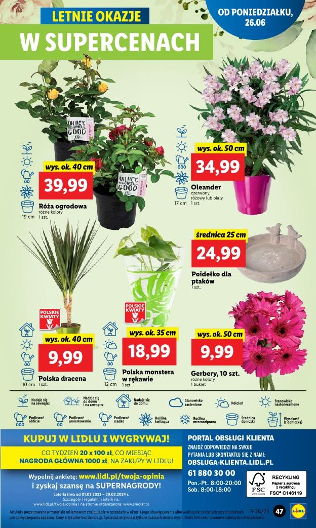 Gazetka promocyjna Lidl str. 49