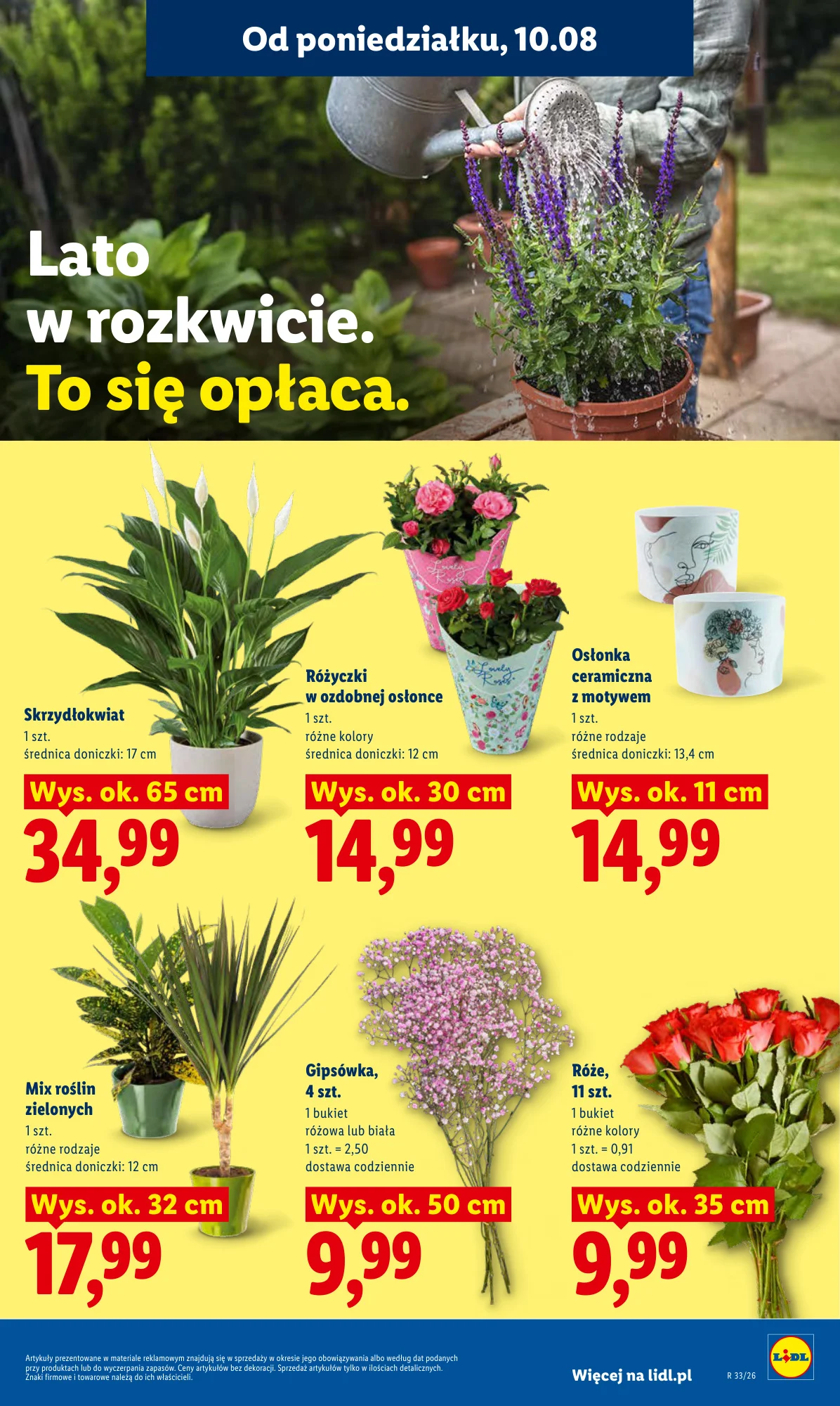 Gazetka promocyjna Lidl str. 93
