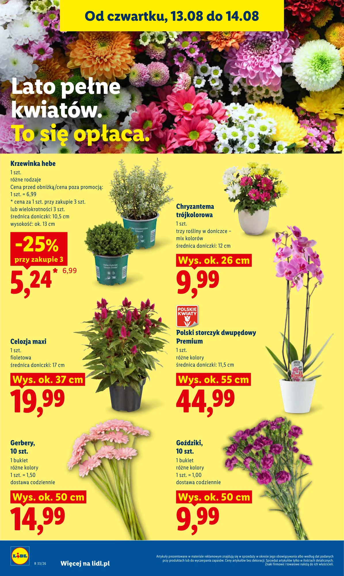 Gazetka promocyjna Lidl str. 86