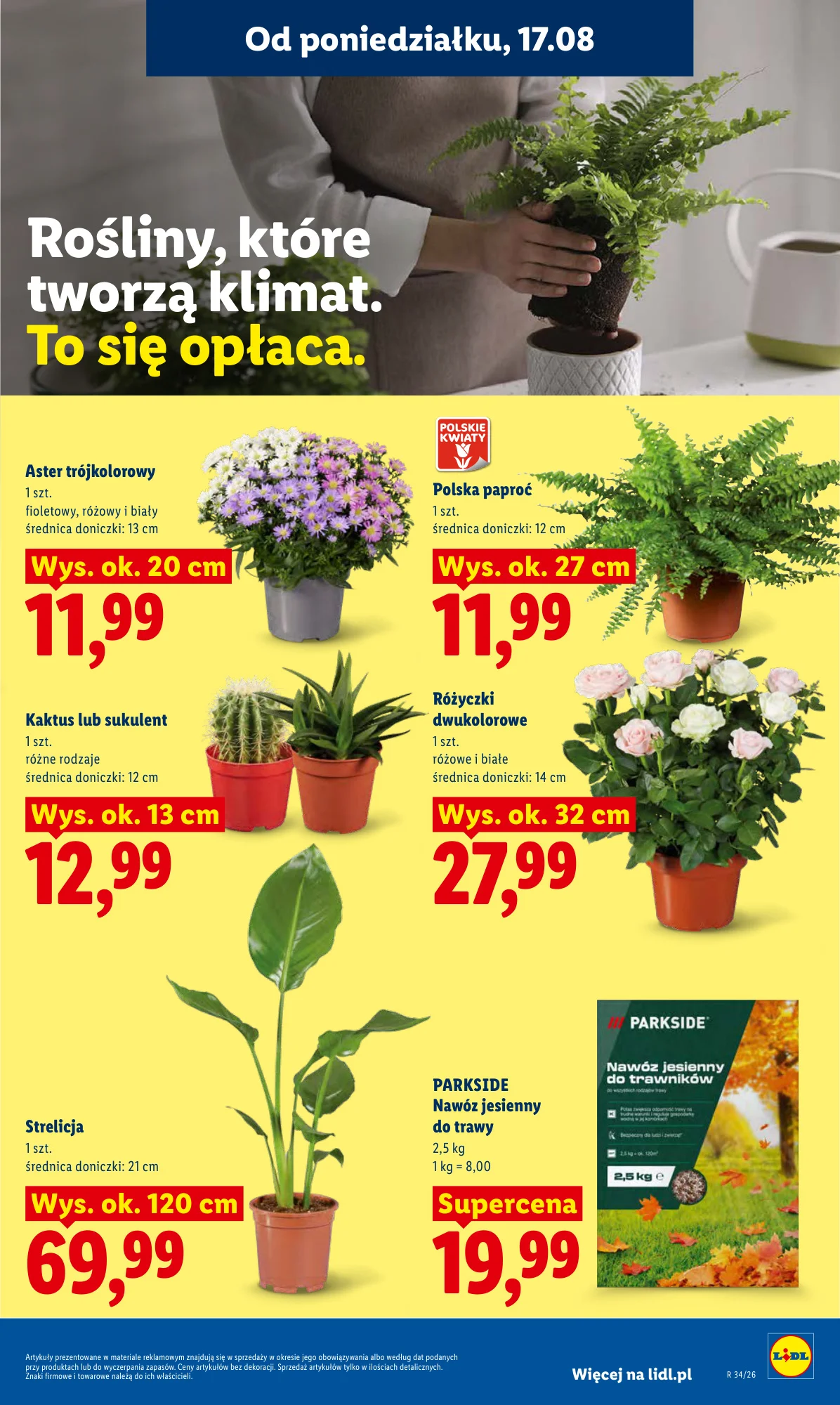 Gazetka promocyjna Lidl str. 77