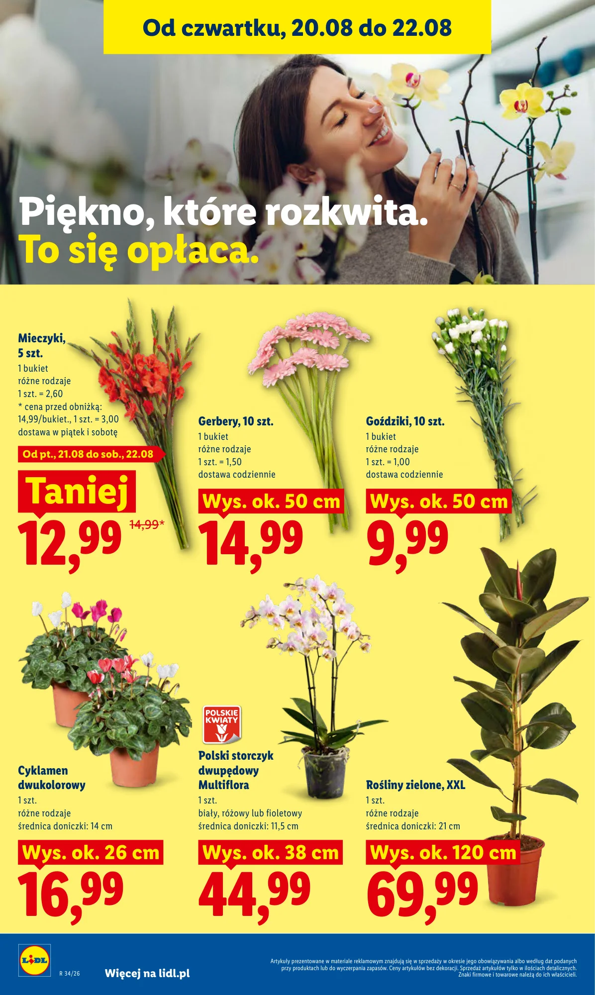 Gazetka promocyjna Lidl str. 96