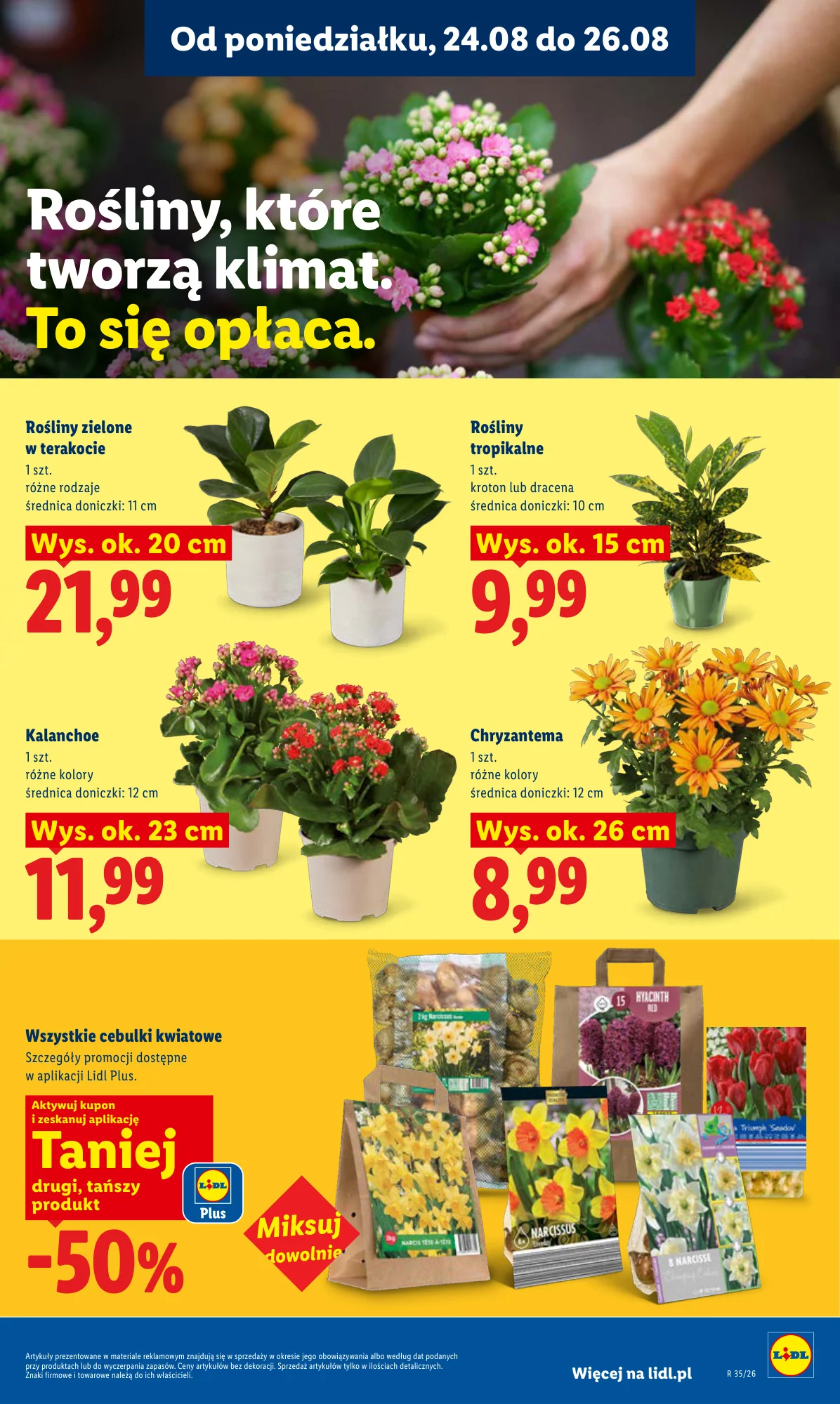 Gazetka promocyjna Lidl str. 85