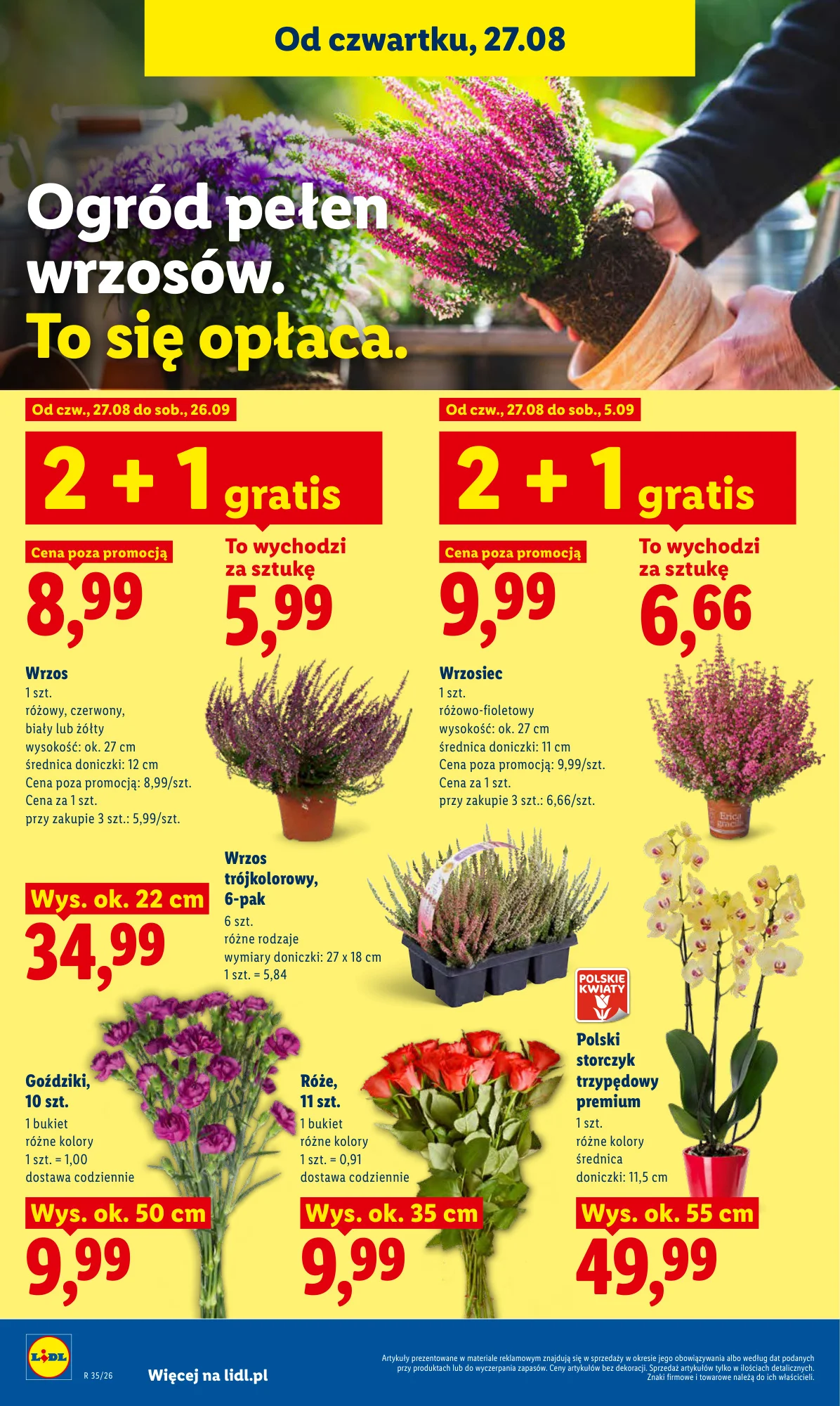 Gazetka promocyjna Lidl str. 86
