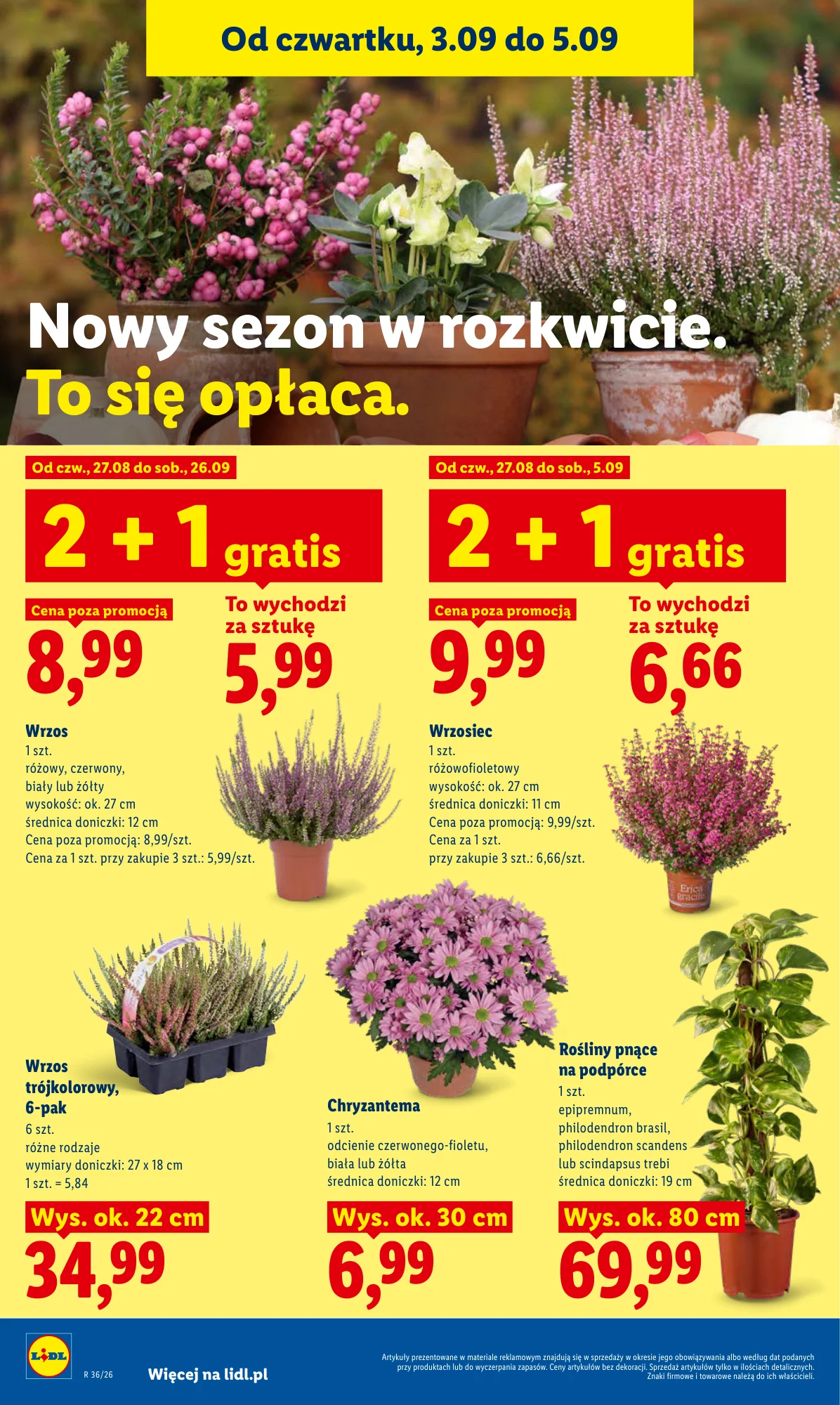 Gazetka promocyjna Lidl str. 90