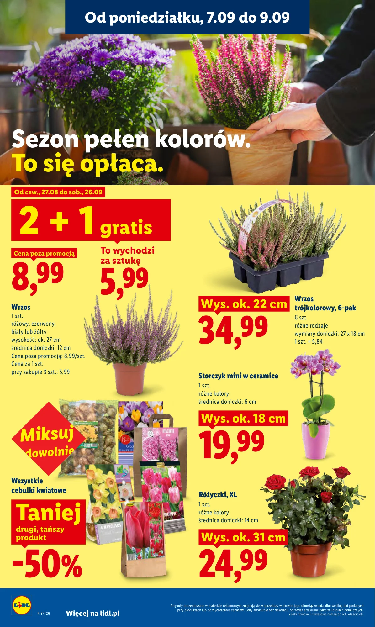 Gazetka promocyjna Lidl str. 82