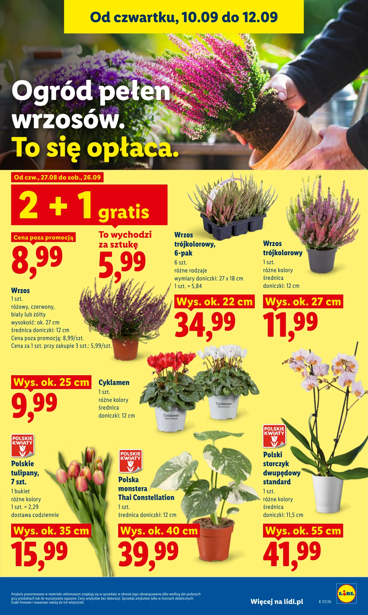 Gazetka promocyjna Lidl str. 83