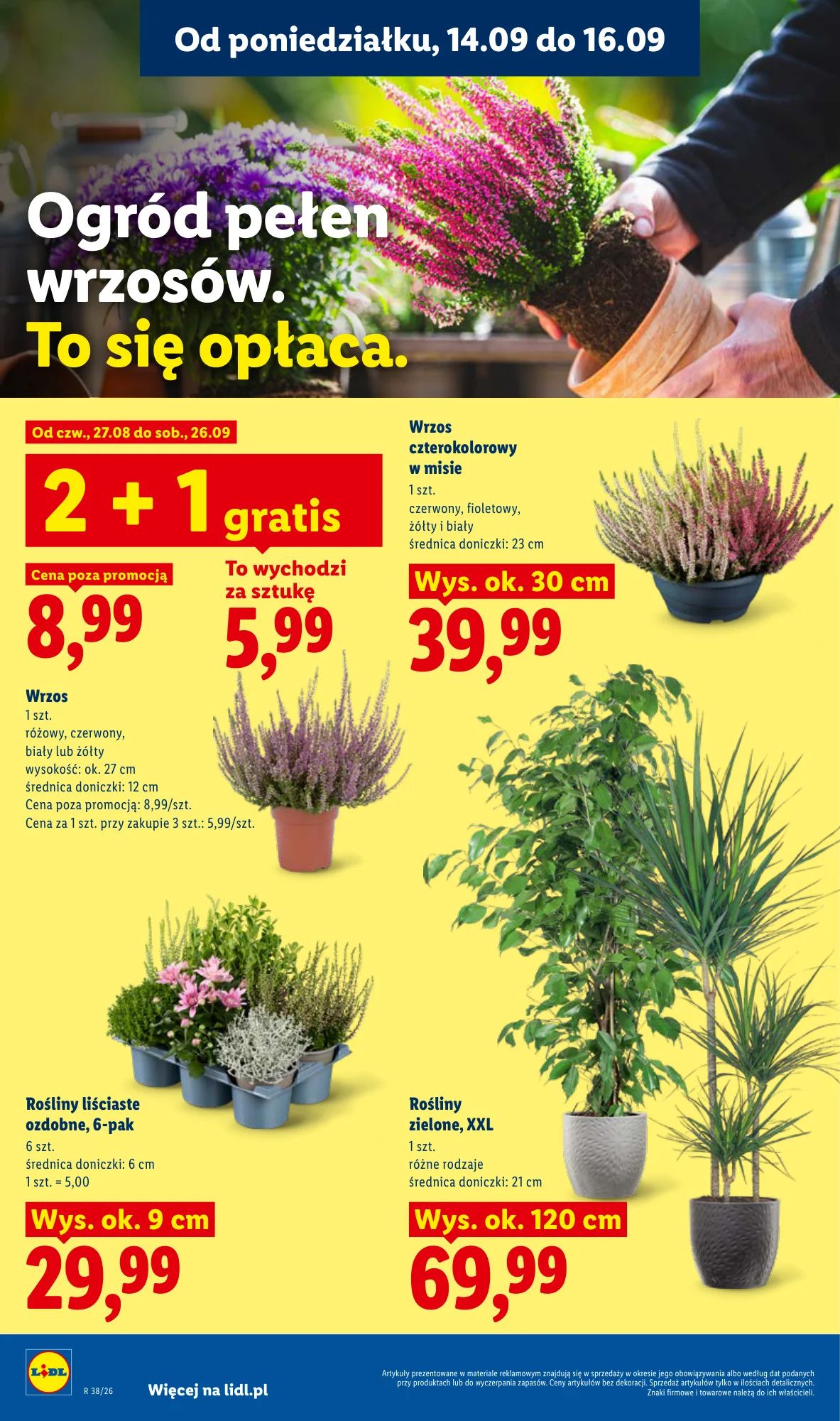 Gazetka promocyjna Lidl str. 78