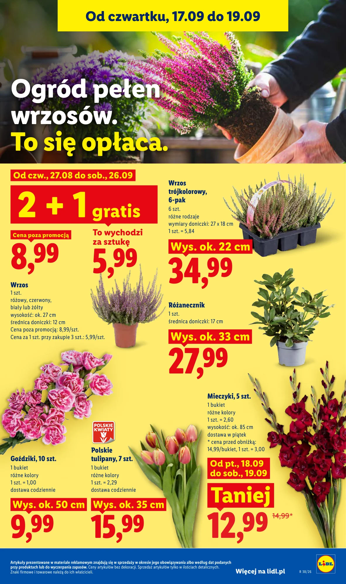 Gazetka promocyjna Lidl str. 85