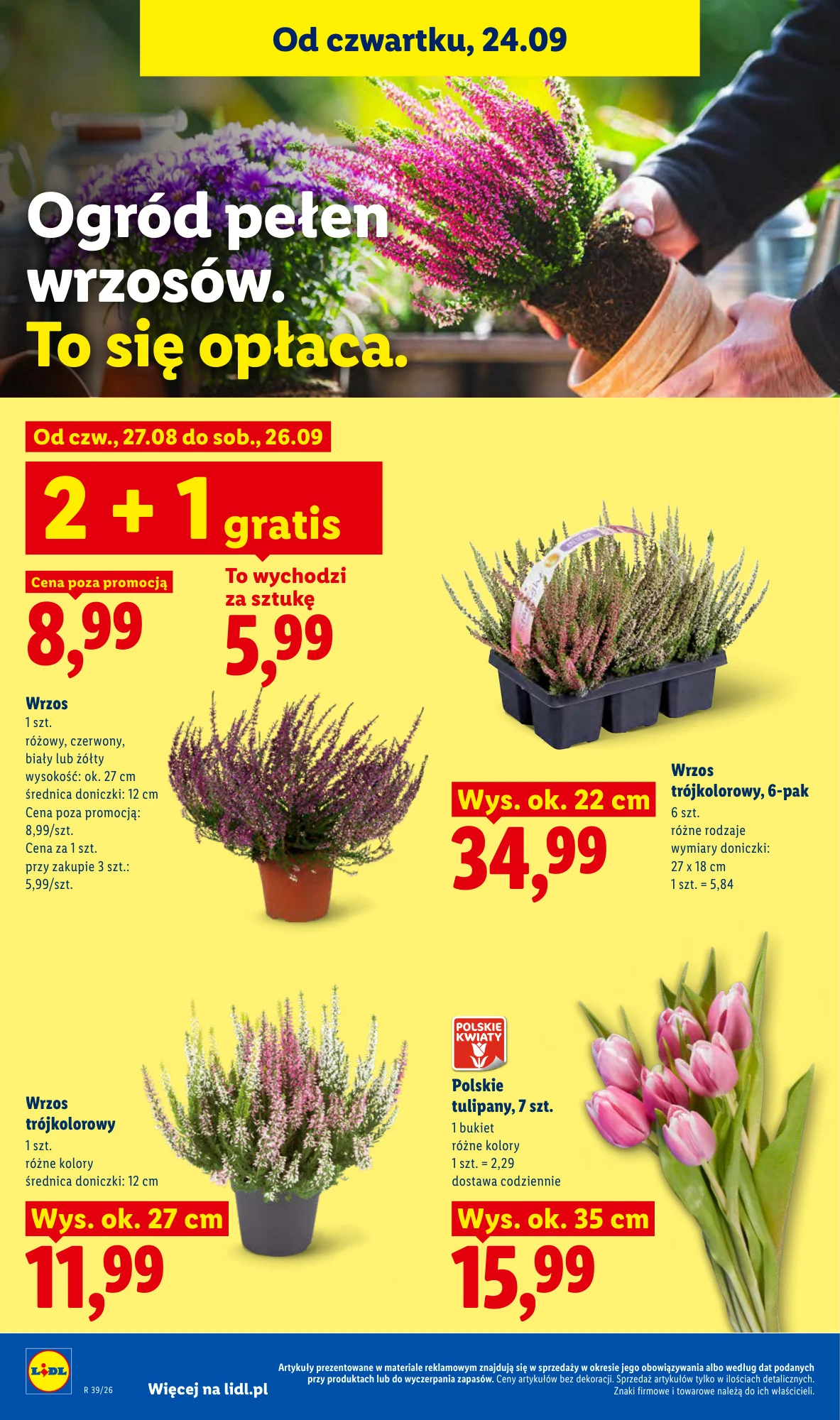 Gazetka promocyjna Lidl str. 100