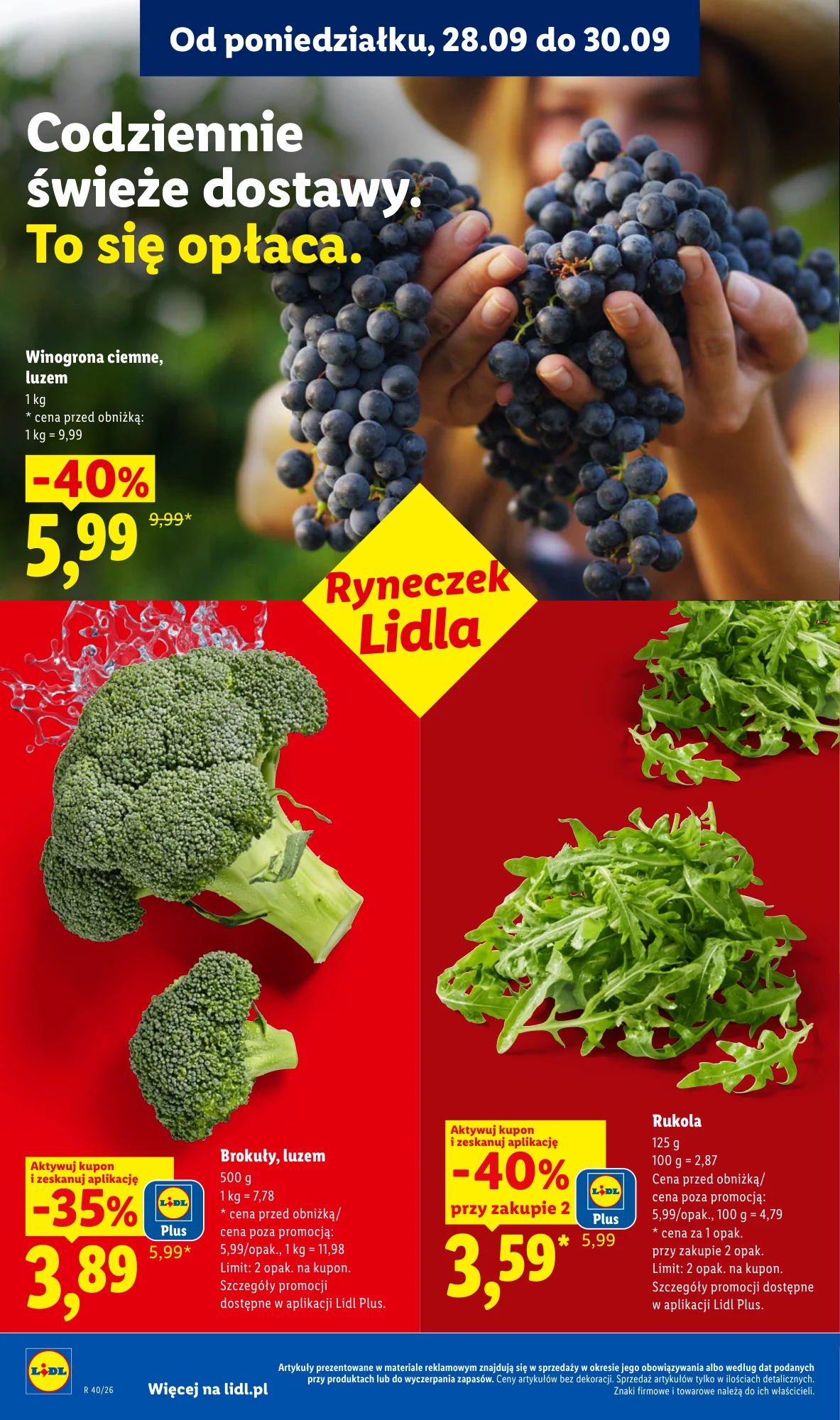 Gazetka promocyjna Lidl str. 46