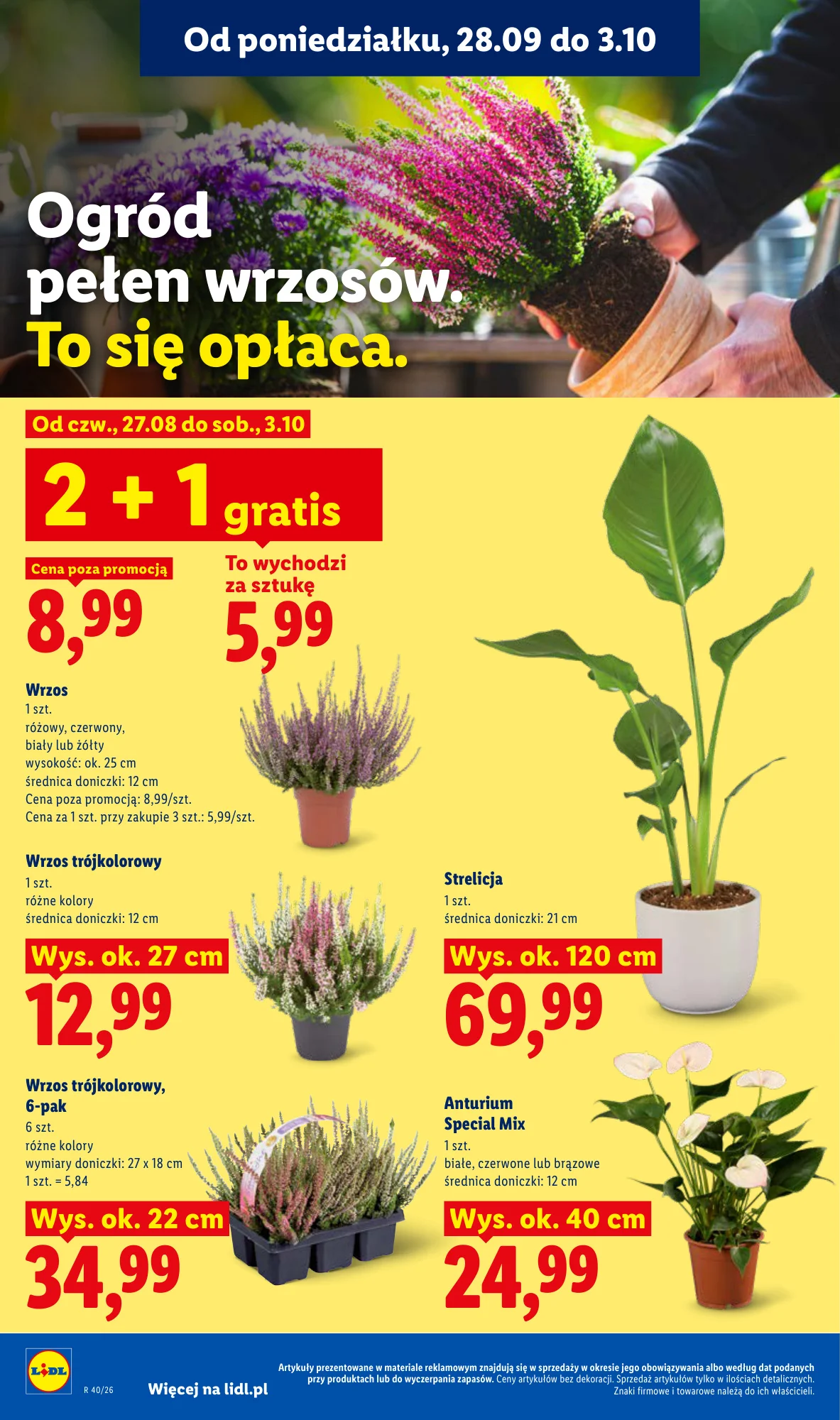 Gazetka promocyjna Lidl str. 88