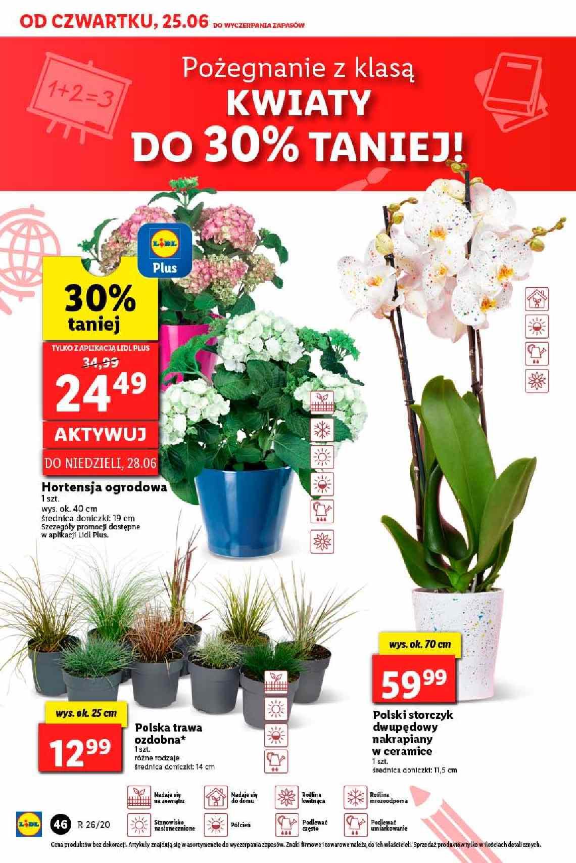 Gazetka promocyjna Lidl str. 46