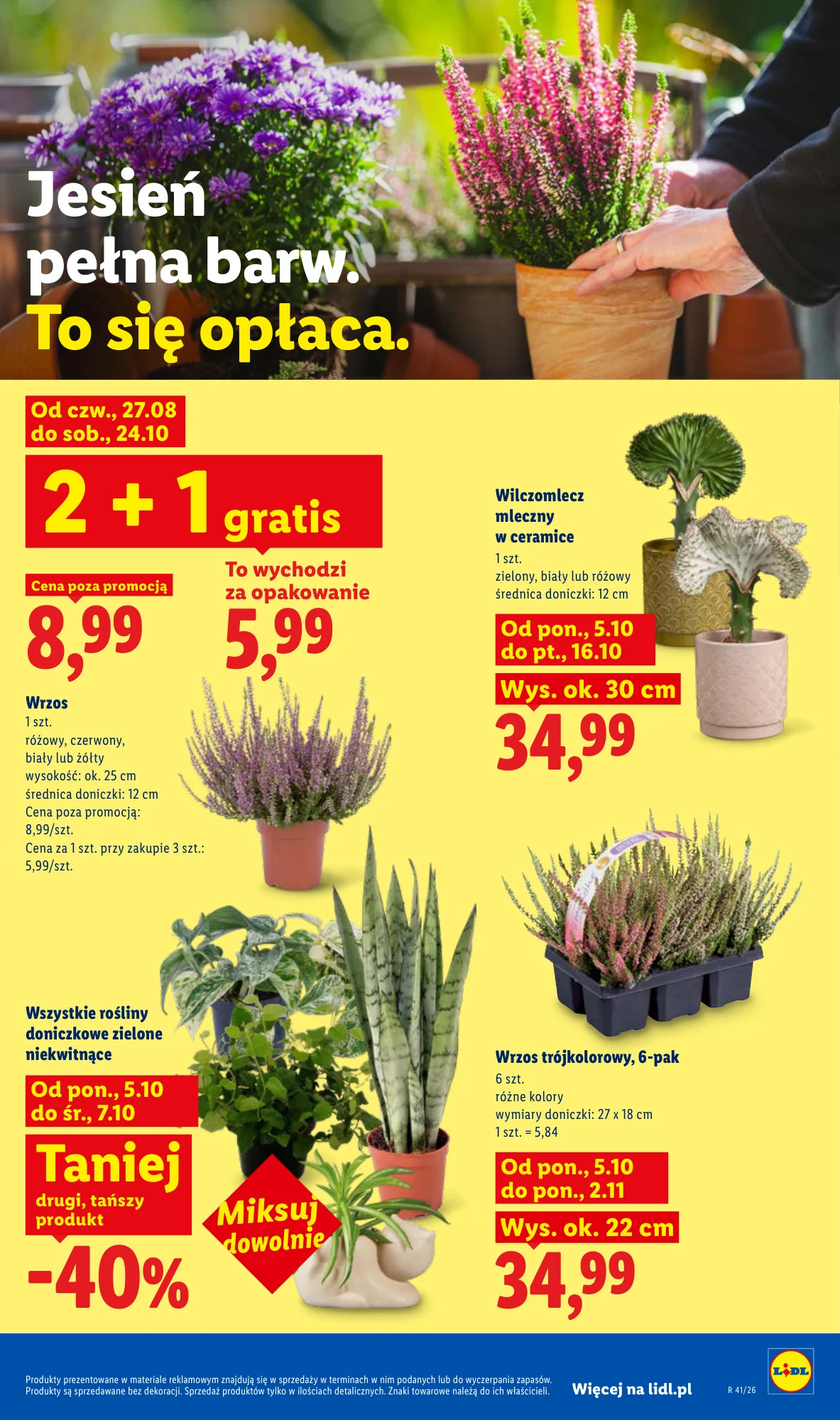 Gazetka promocyjna Lidl str. 89