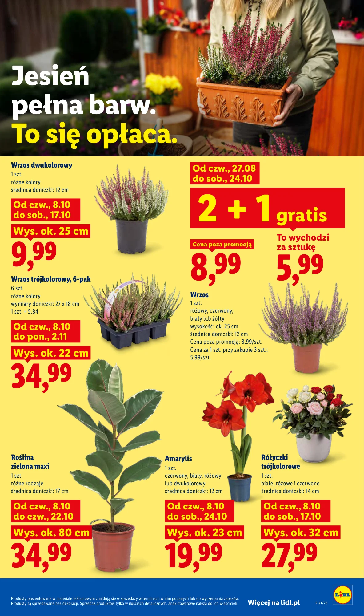 Gazetka promocyjna Lidl str. 85