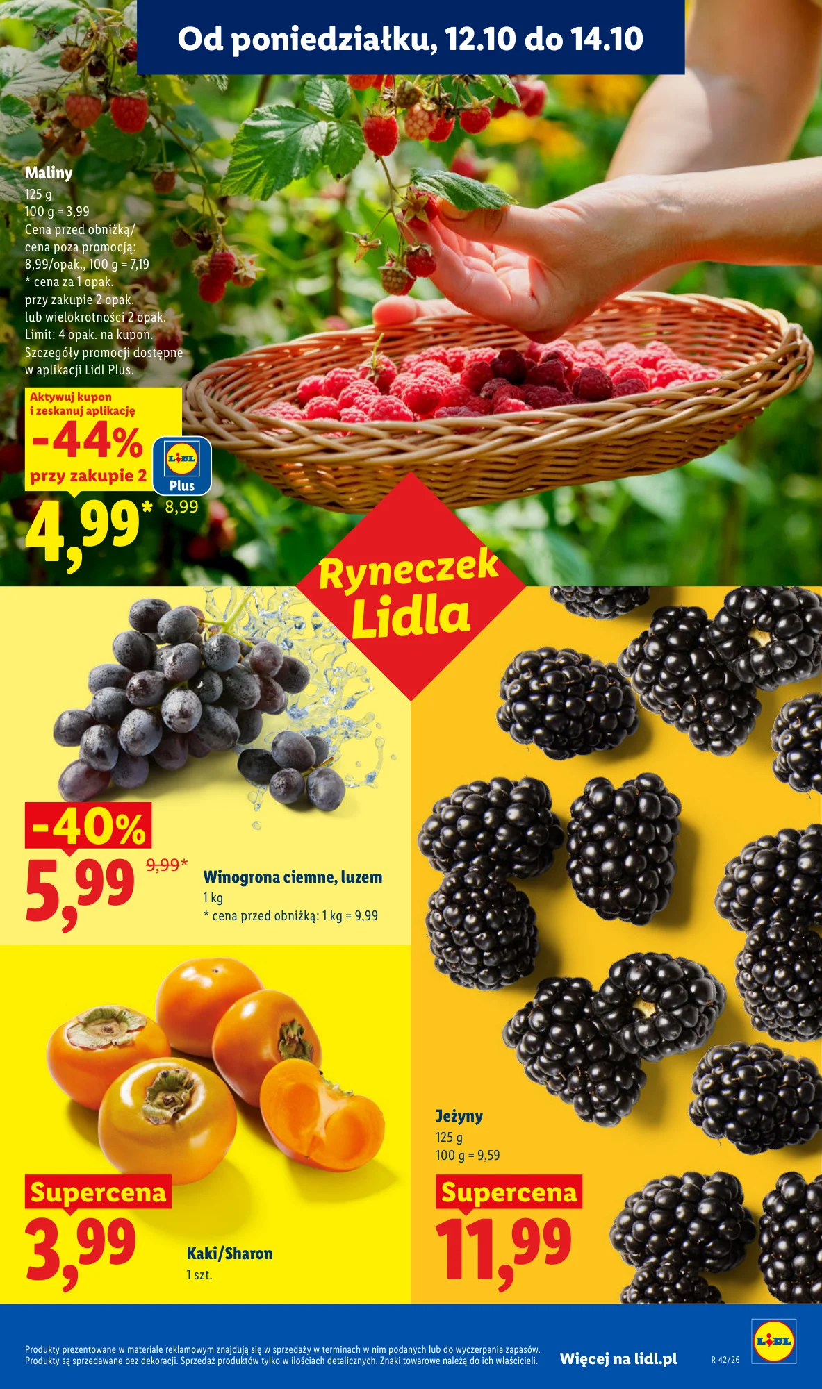 Gazetka promocyjna Lidl str. 51