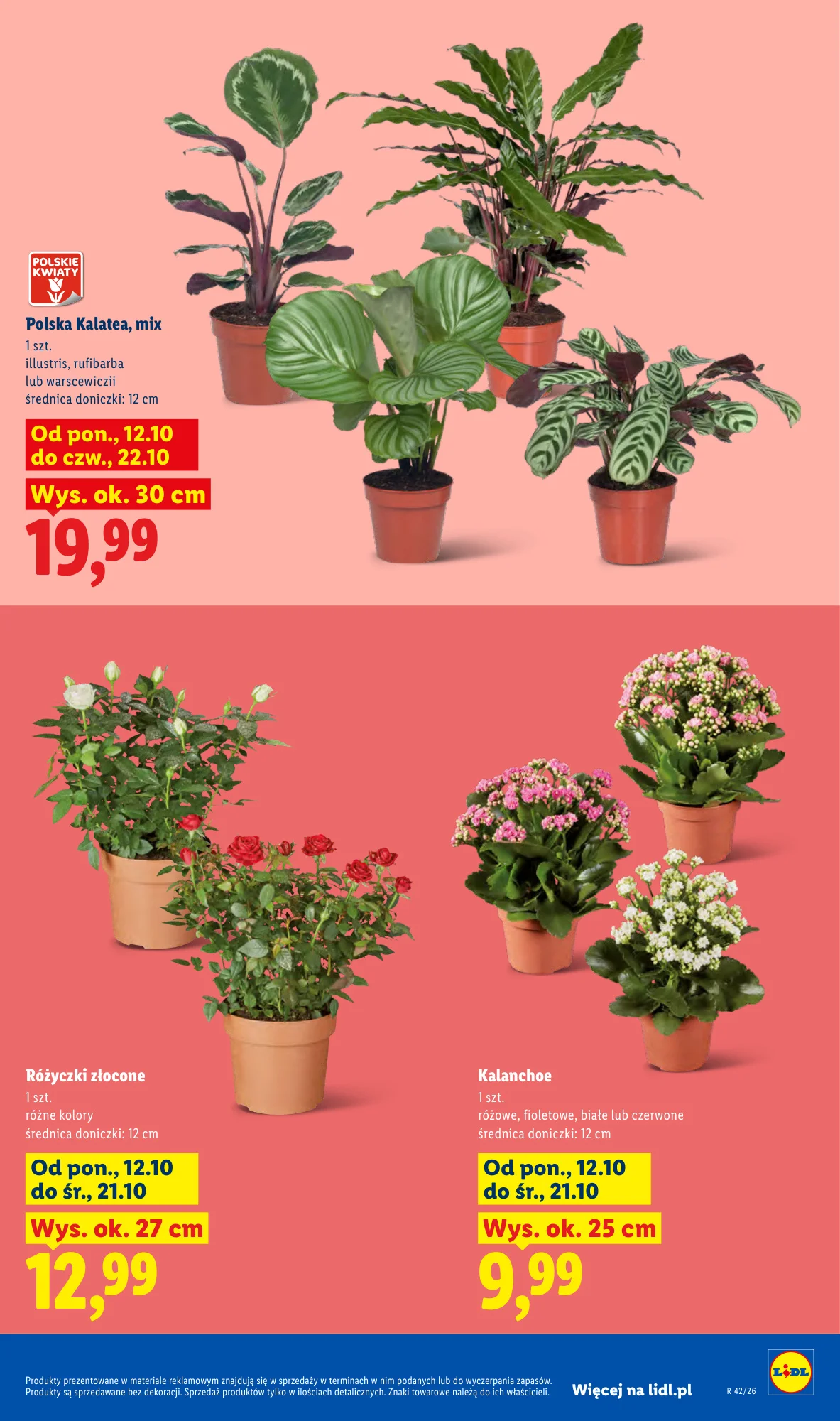Gazetka promocyjna Lidl str. 9