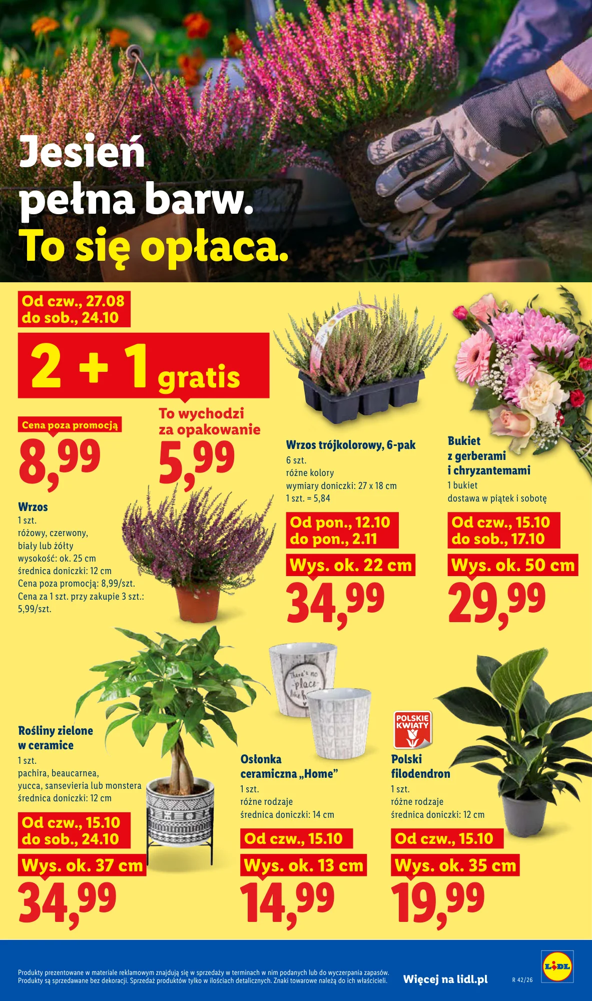 Gazetka promocyjna Lidl str. 107