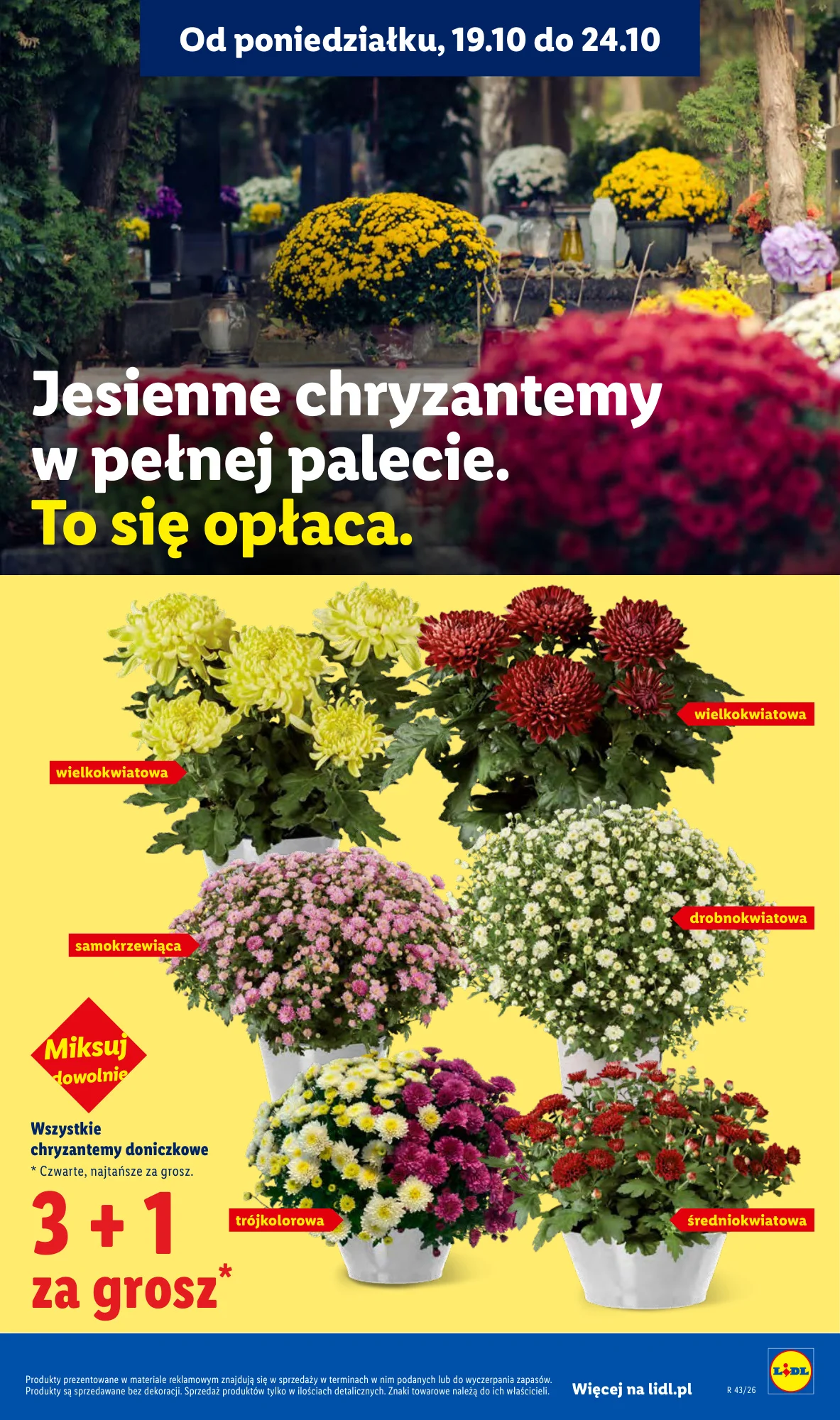 Gazetka promocyjna Lidl str. 97
