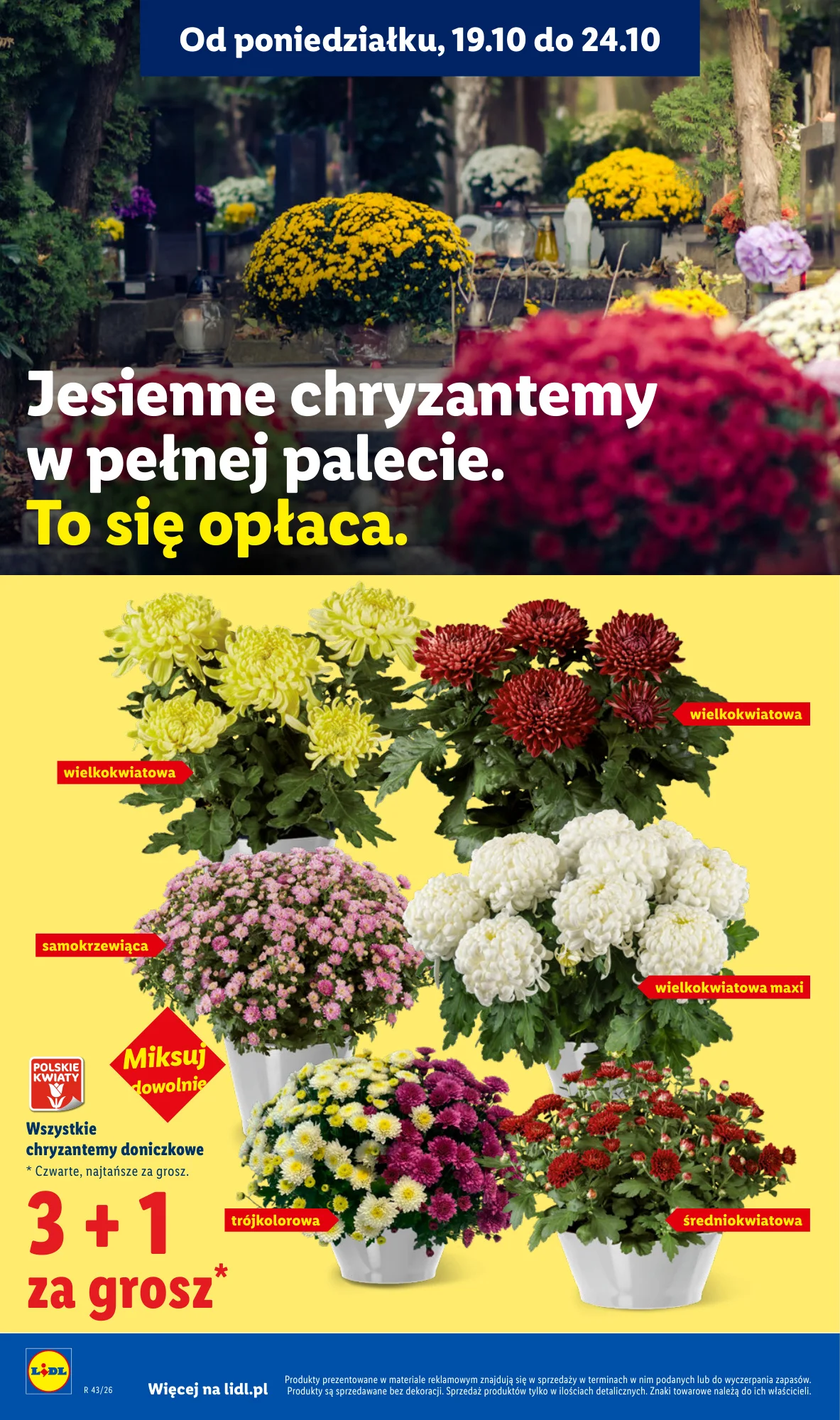 Gazetka promocyjna Lidl str. 102