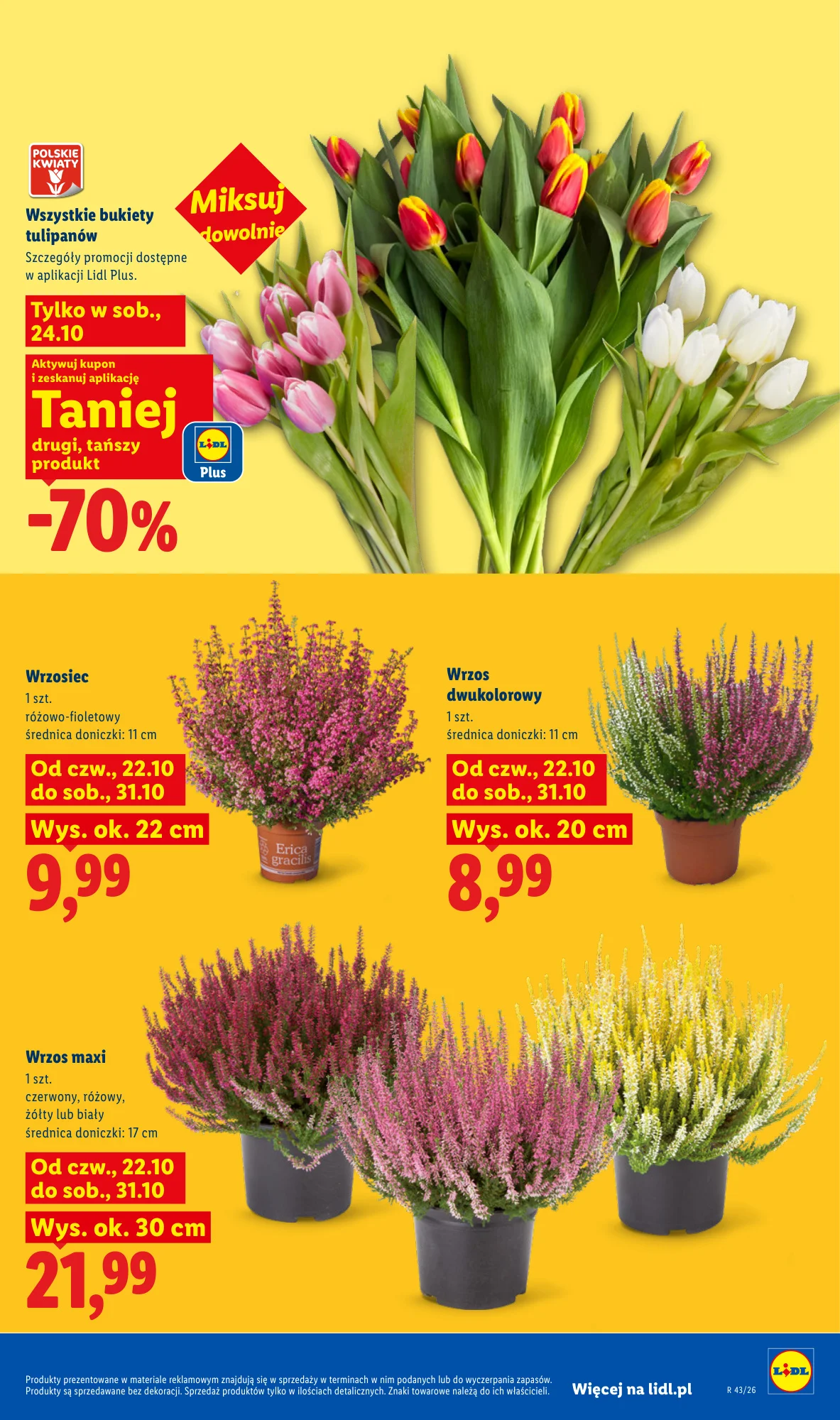 Gazetka promocyjna Lidl str. 103