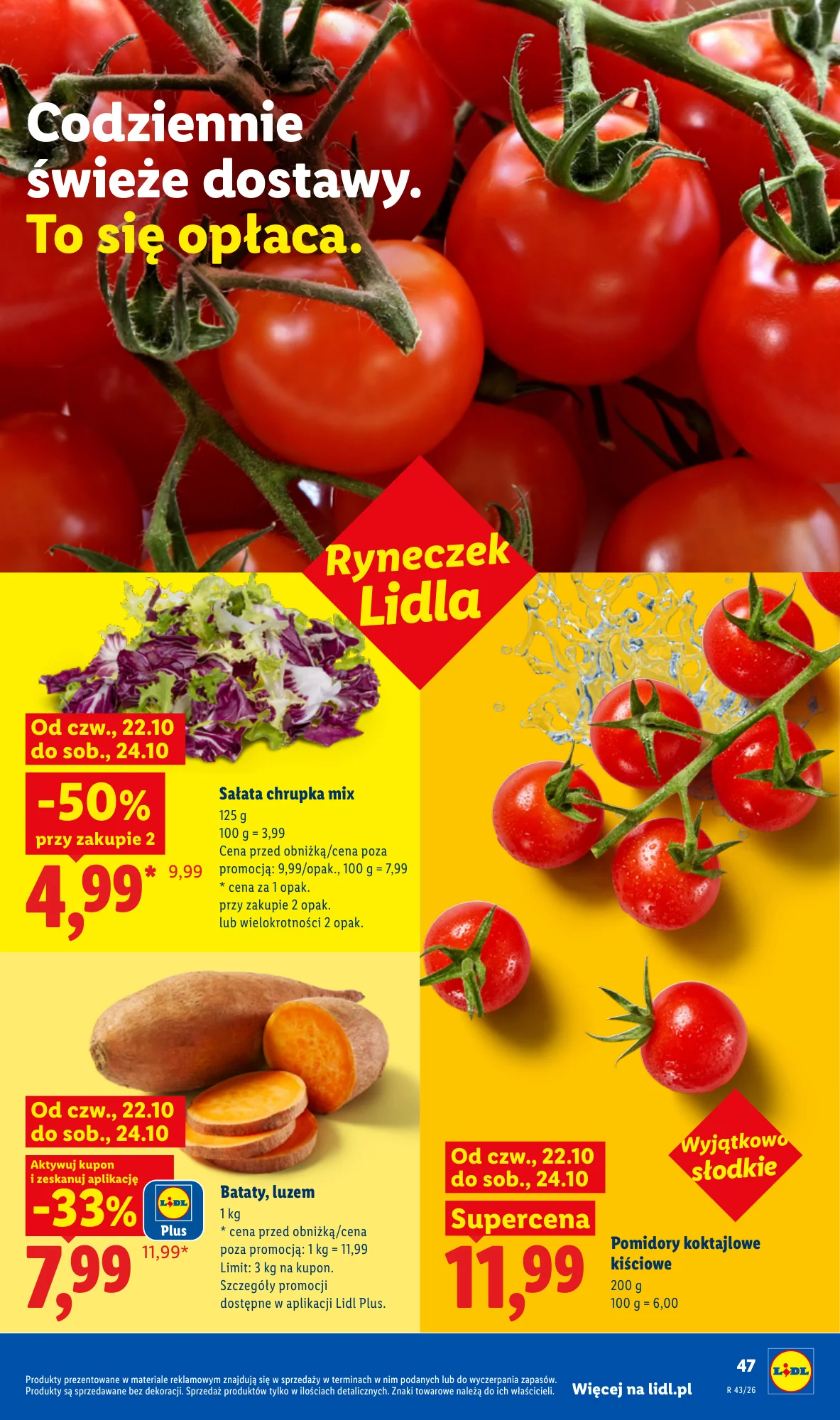 Gazetka promocyjna Lidl str. 49