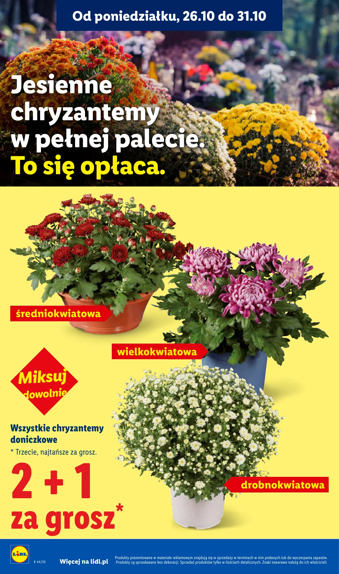 Gazetka promocyjna Lidl str. 44