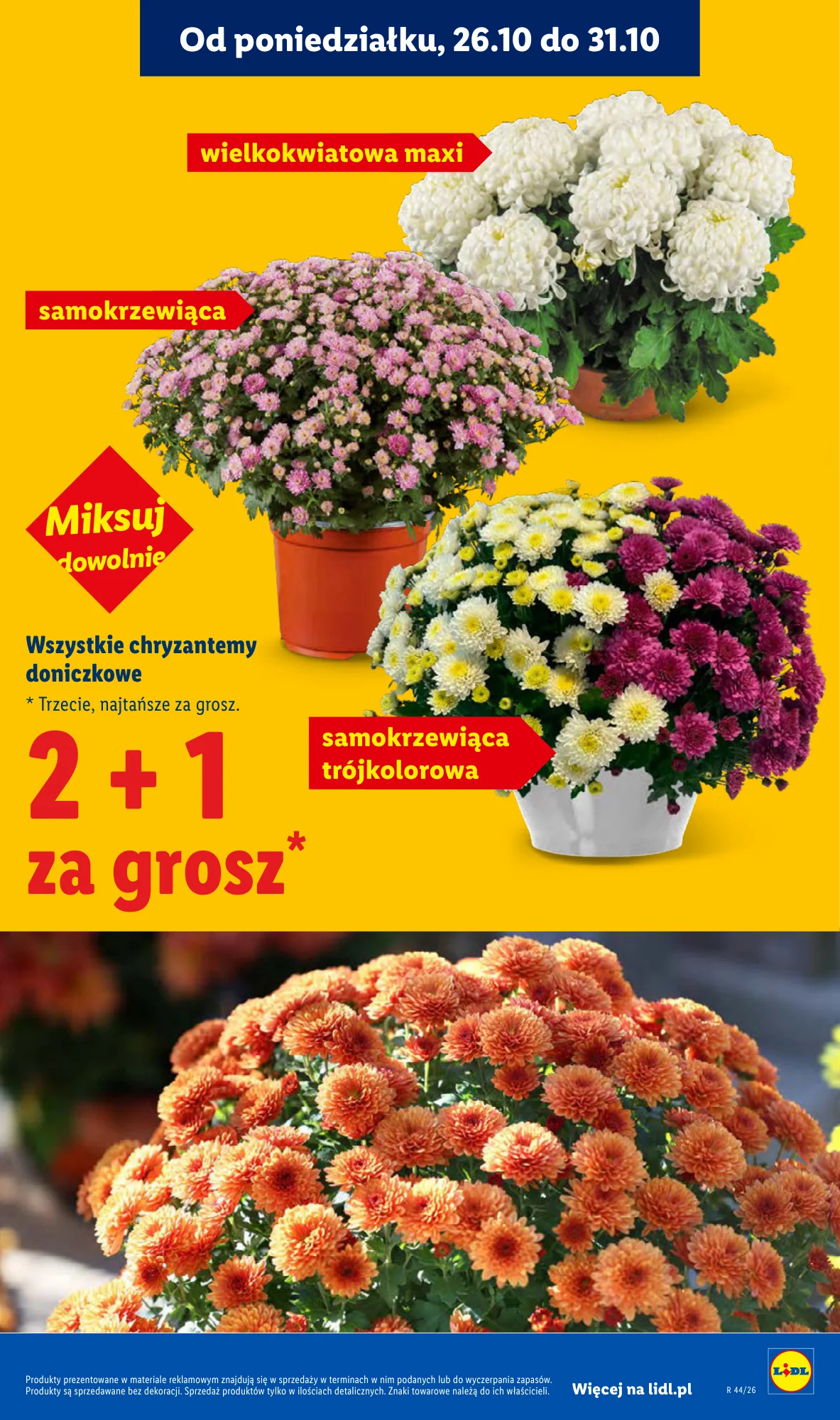 Gazetka promocyjna Lidl str. 45