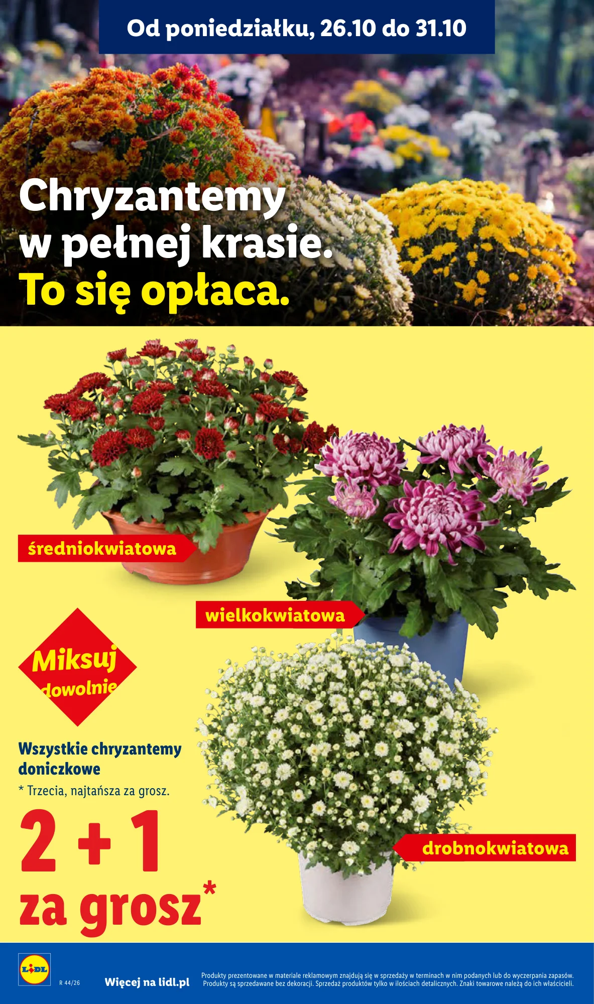 Gazetka promocyjna Lidl str. 4
