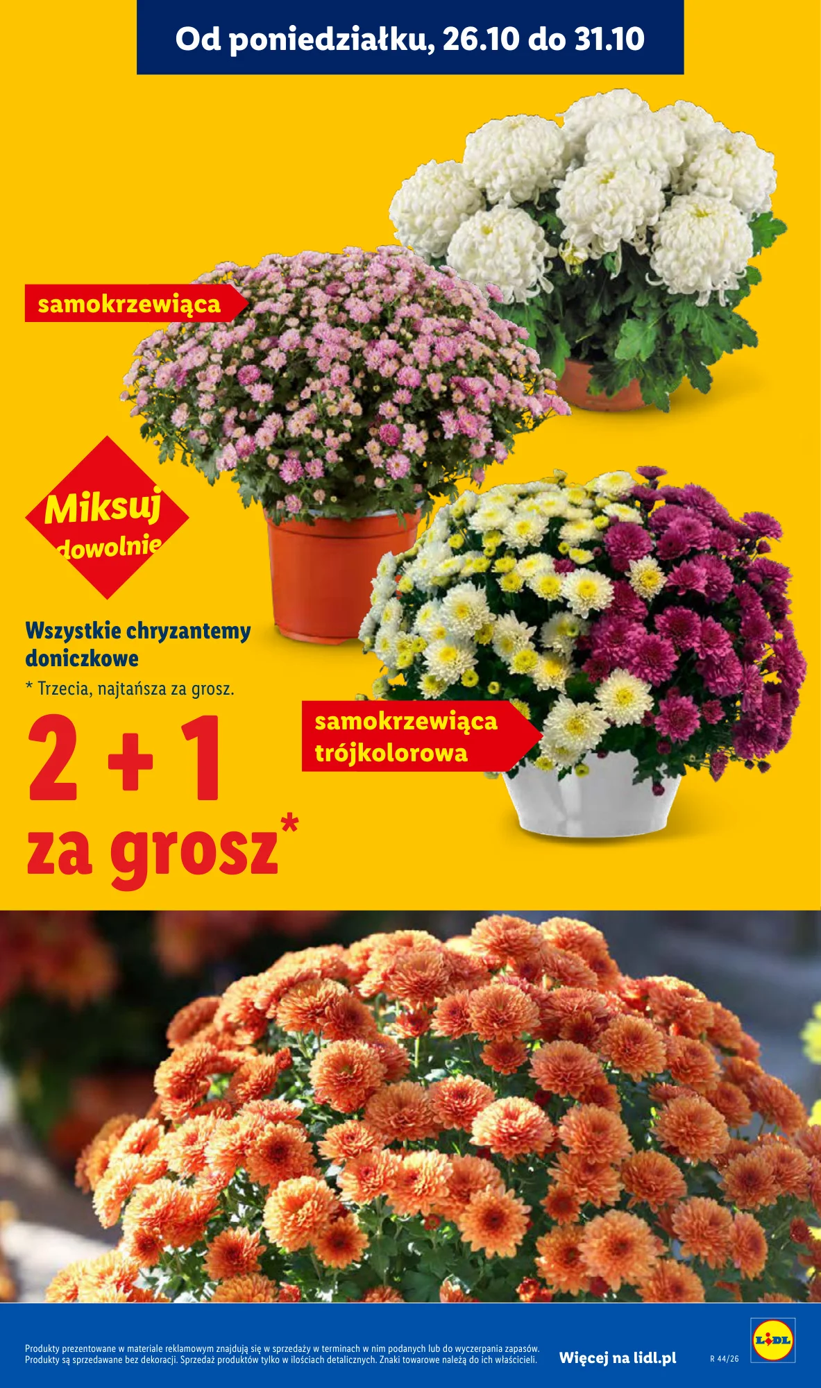 Gazetka promocyjna Lidl str. 5